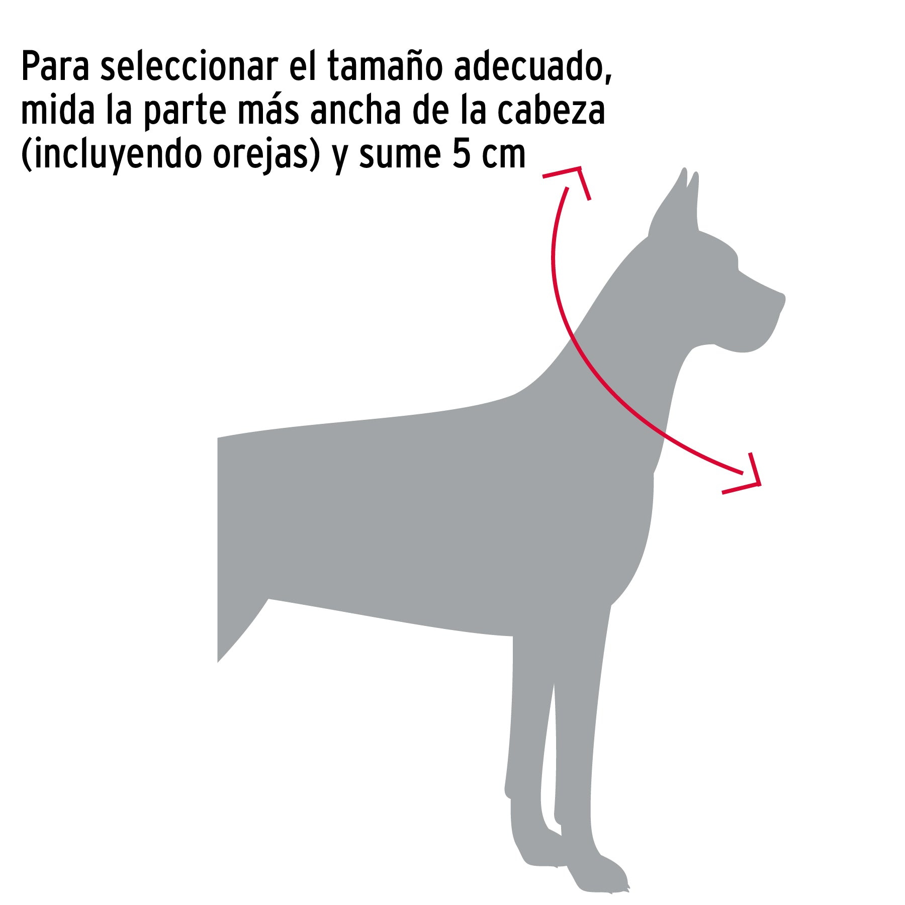 Cadena de castigo para perro # 4