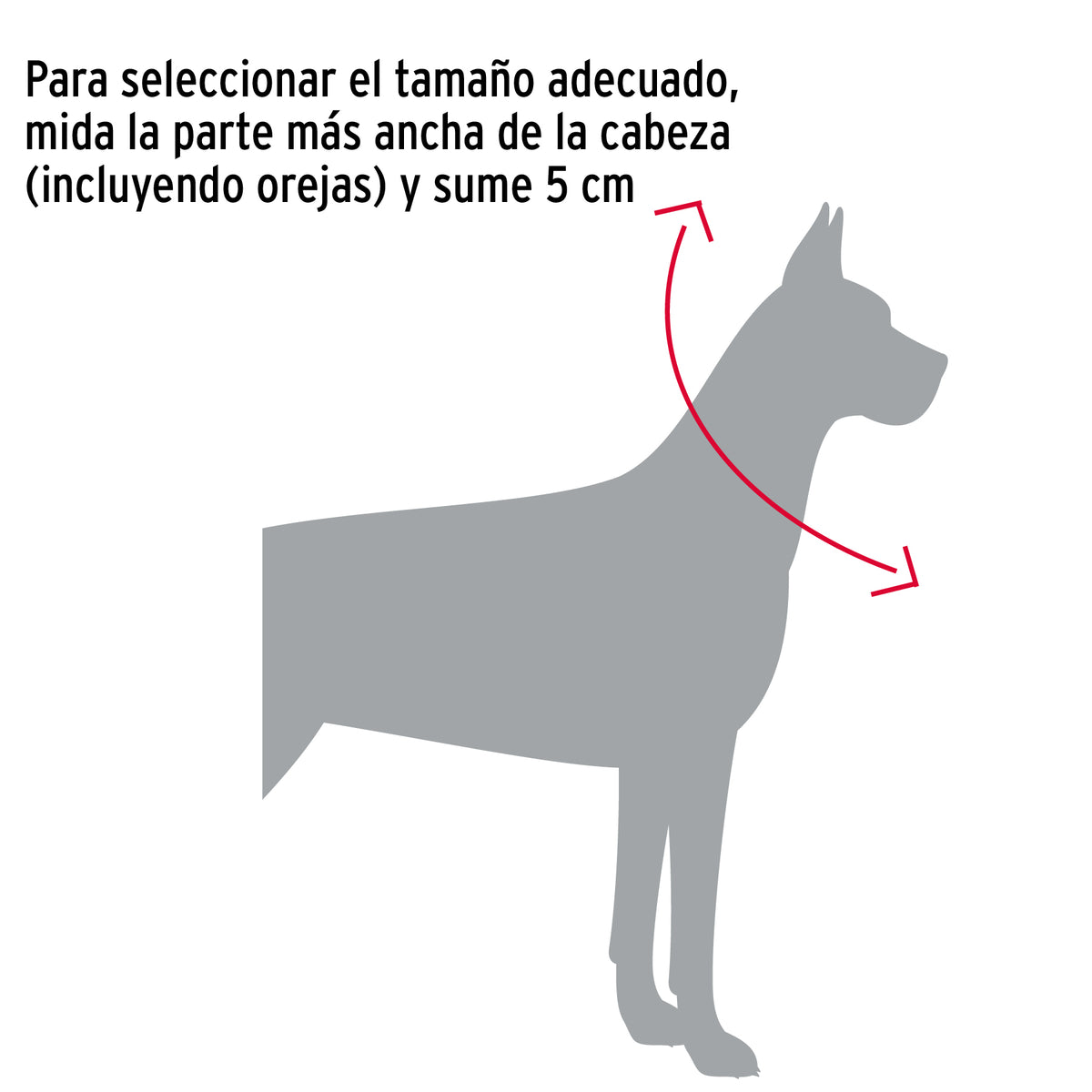 Cadena de castigo para perro # 4