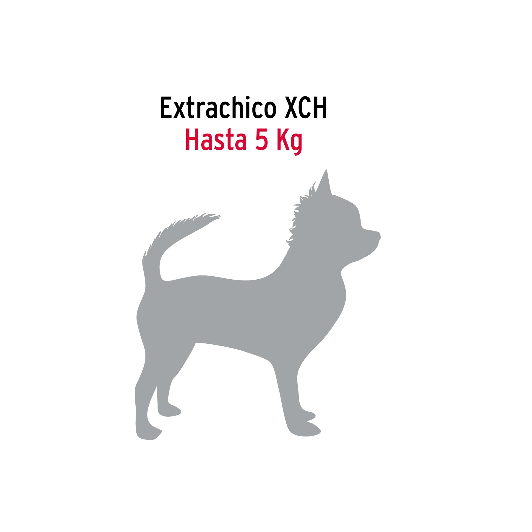Cadena de paseo para perro # 2