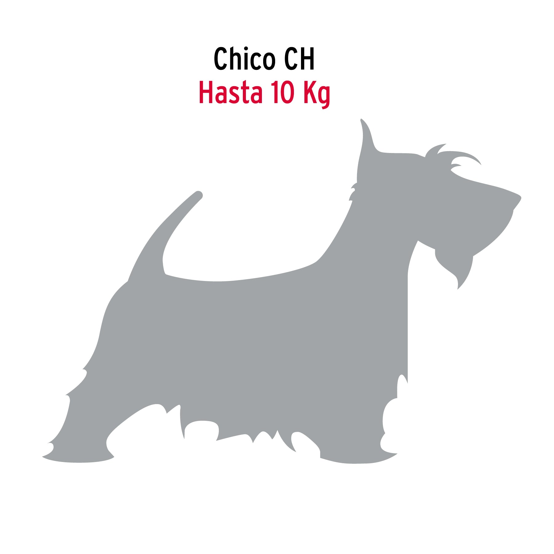 Cadena de paseo para perro # 2.5