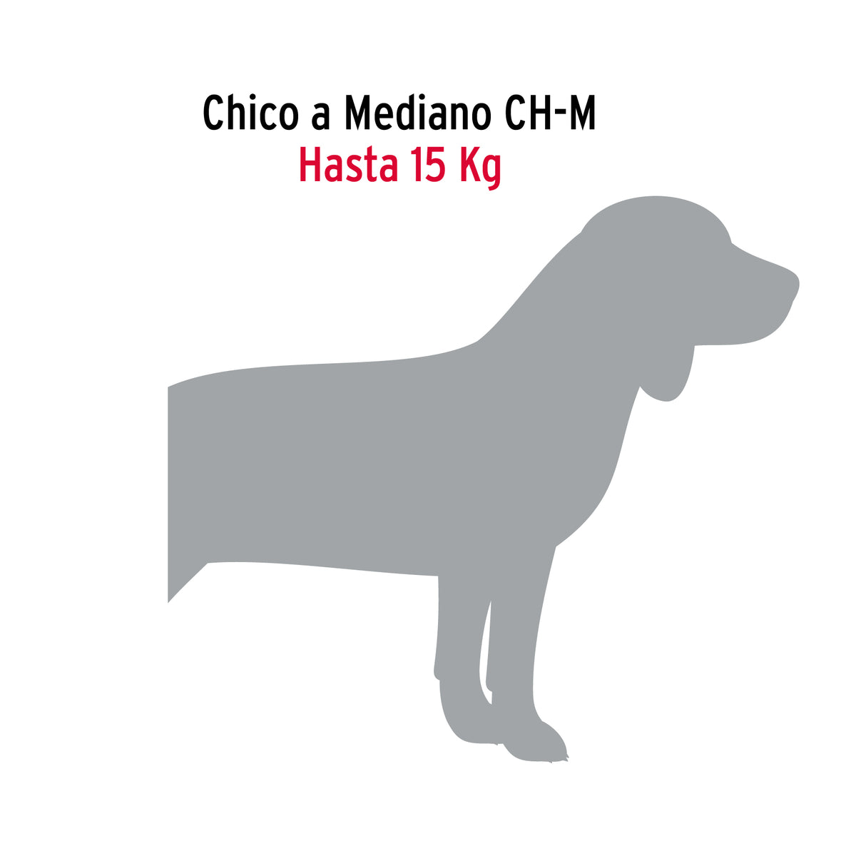 Cadena de paseo para perro # 3