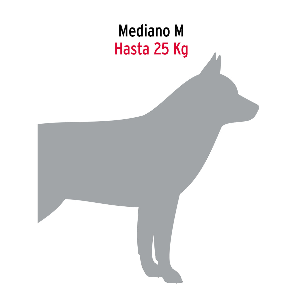 Cadena de paseo para perro # 3.5