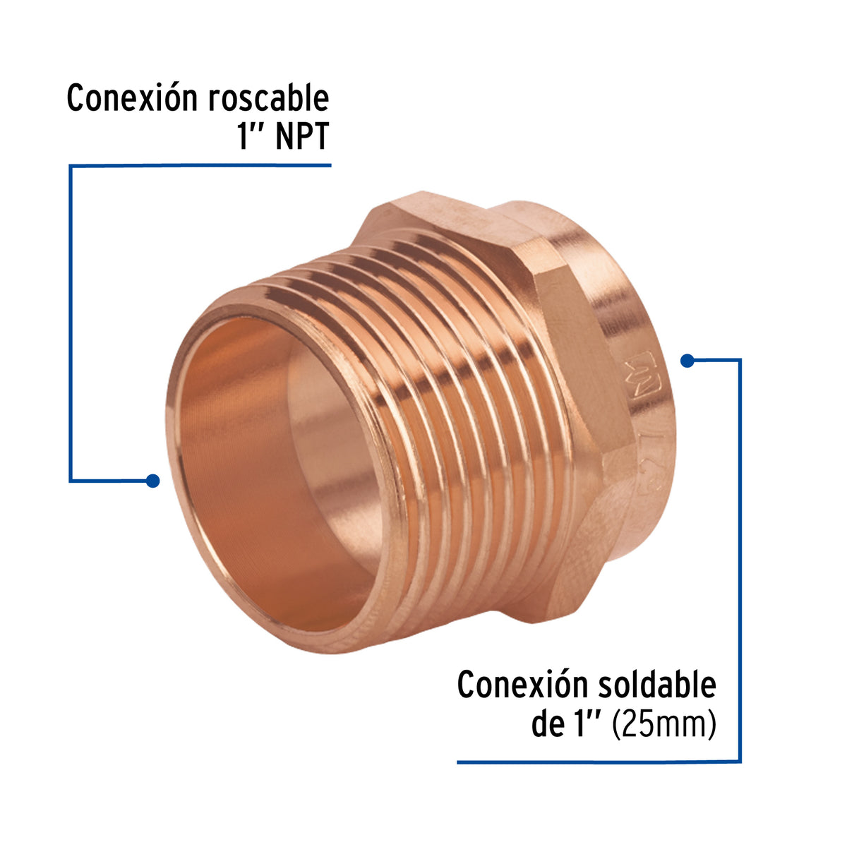Conector de cobre, rosca exterior, 1', Basic
