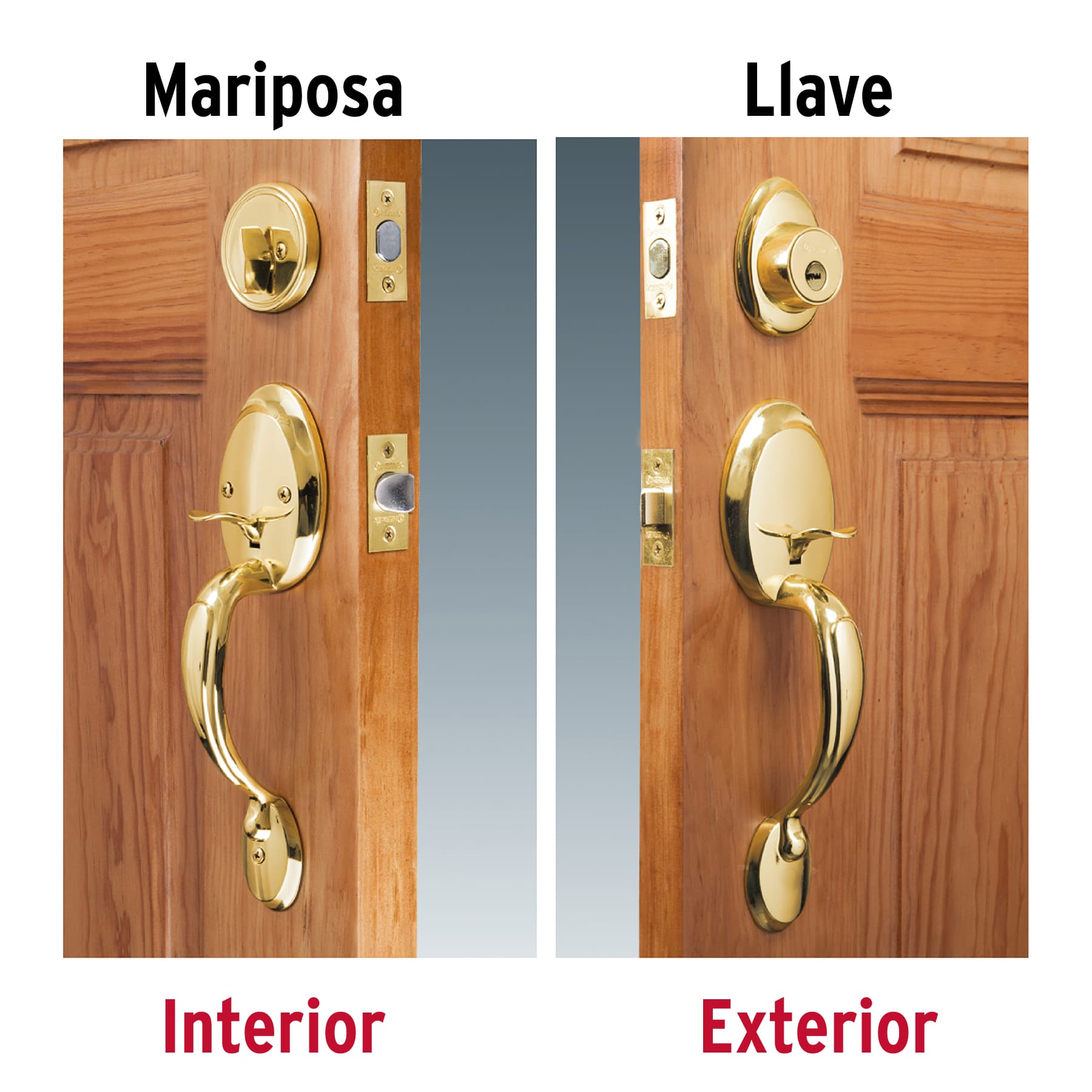 Cerradura entrada, latón brillante, mariposa, jaladera