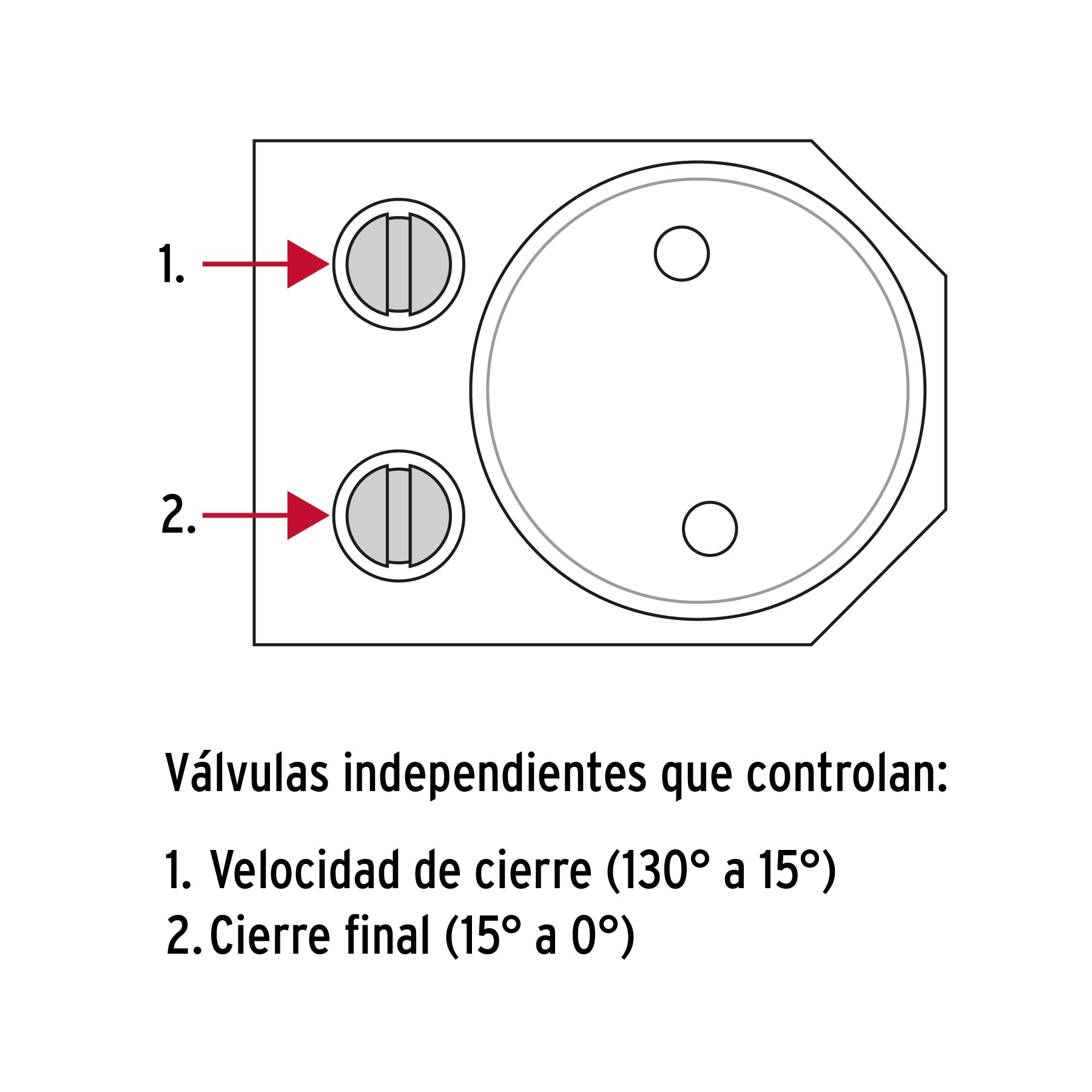 Cierra puertas hidráulico color blanco