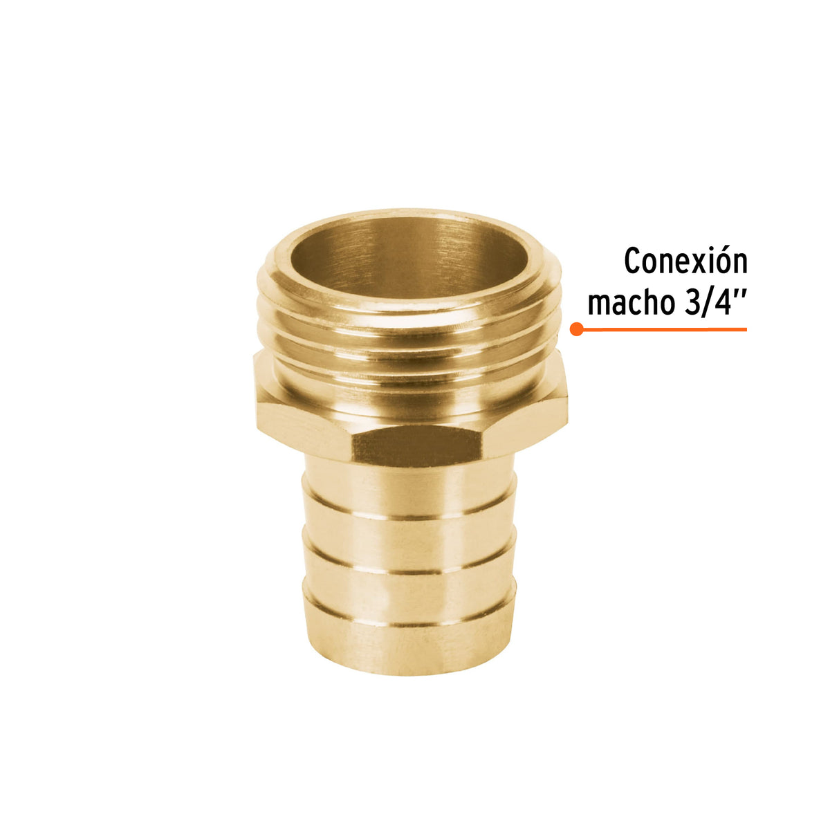 Conexión de laton macho de 3/4" para manguera, blister