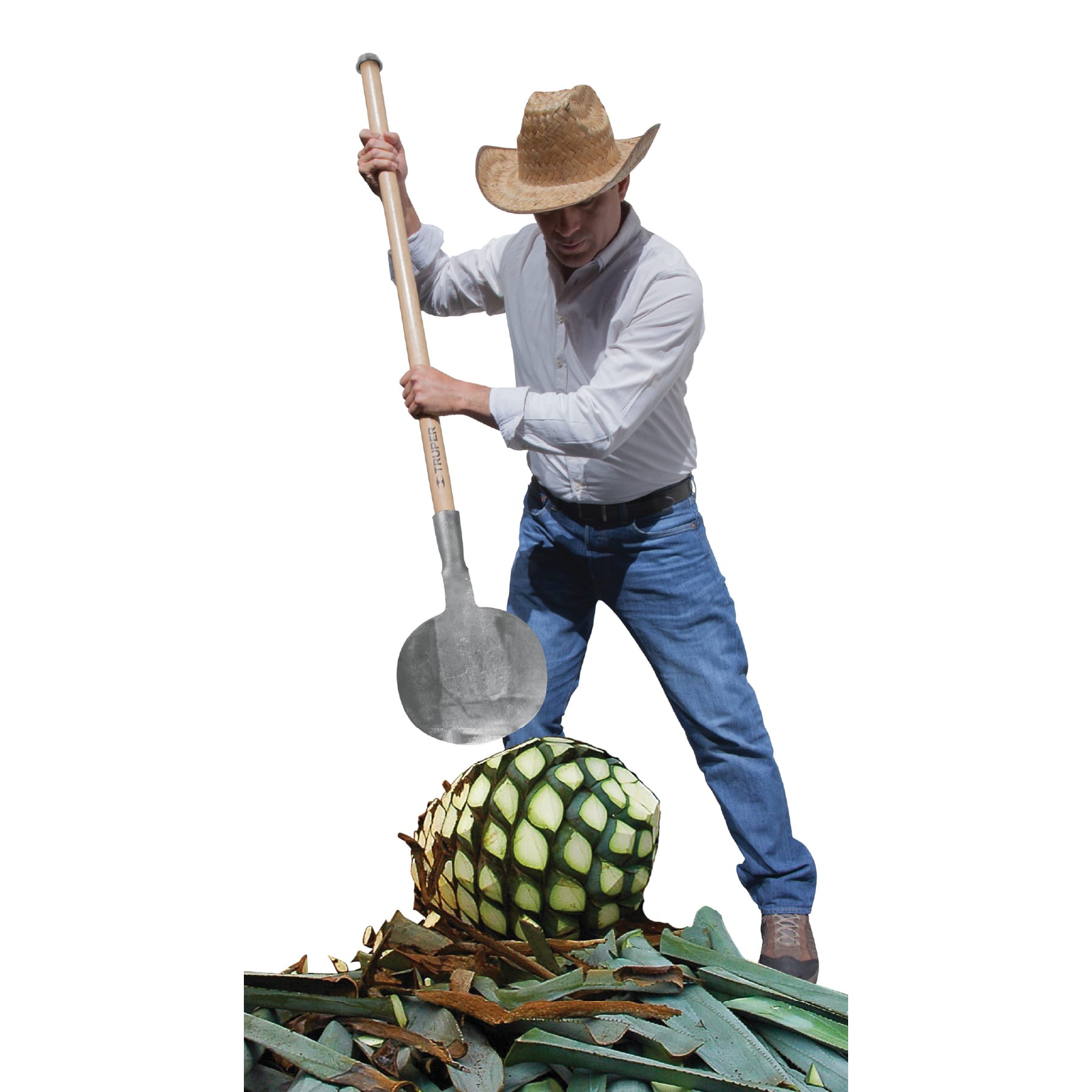 Coa Agavera con mango de 54”