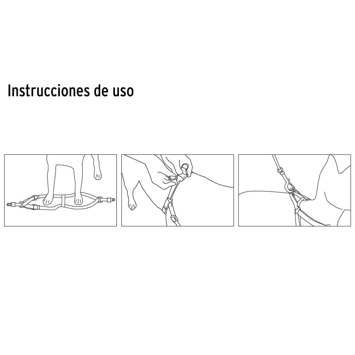 Correa para perro con pechera, 1.5 cm ancho