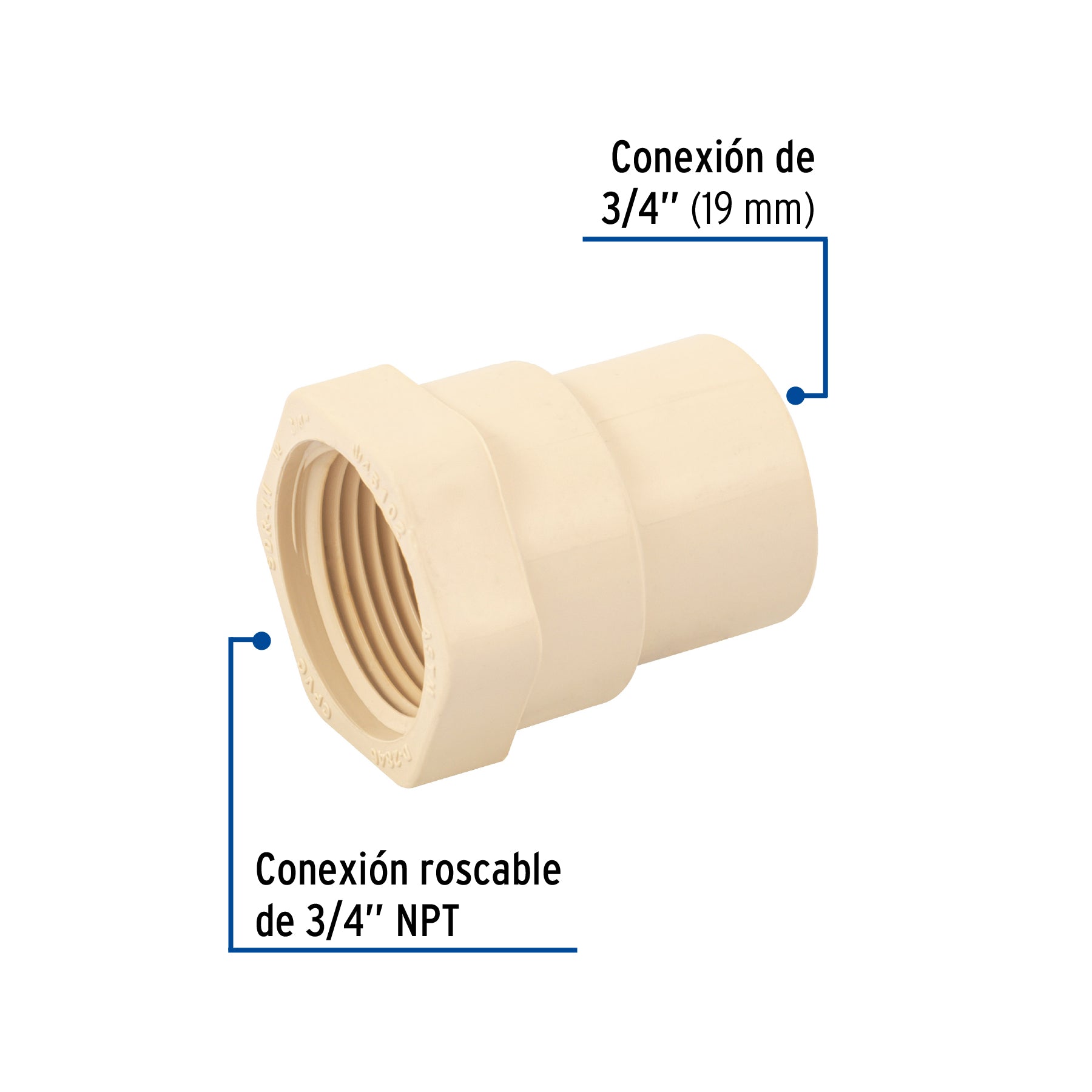 Conector hembra de CPVC 3/4"