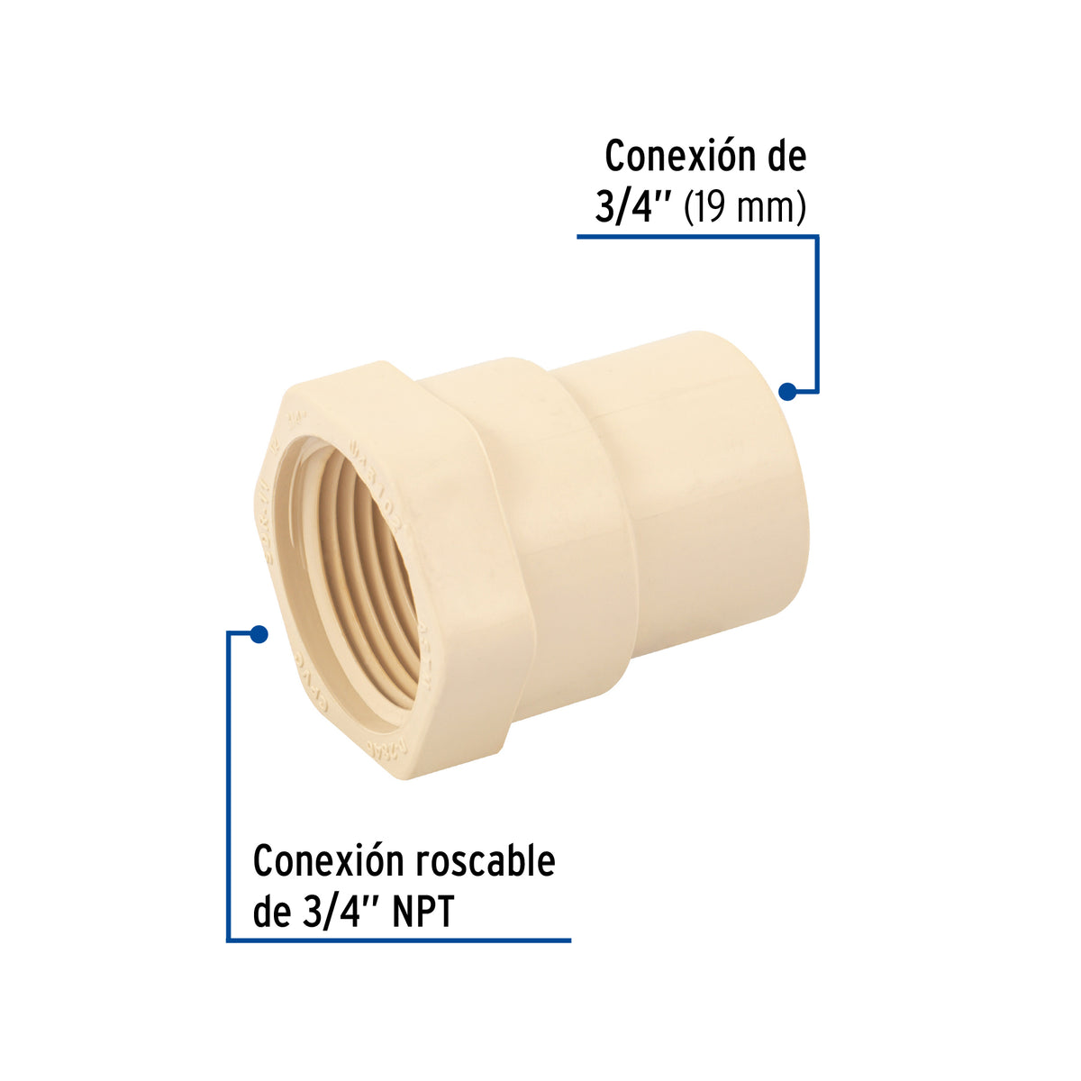 Conector hembra de CPVC 3/4"
