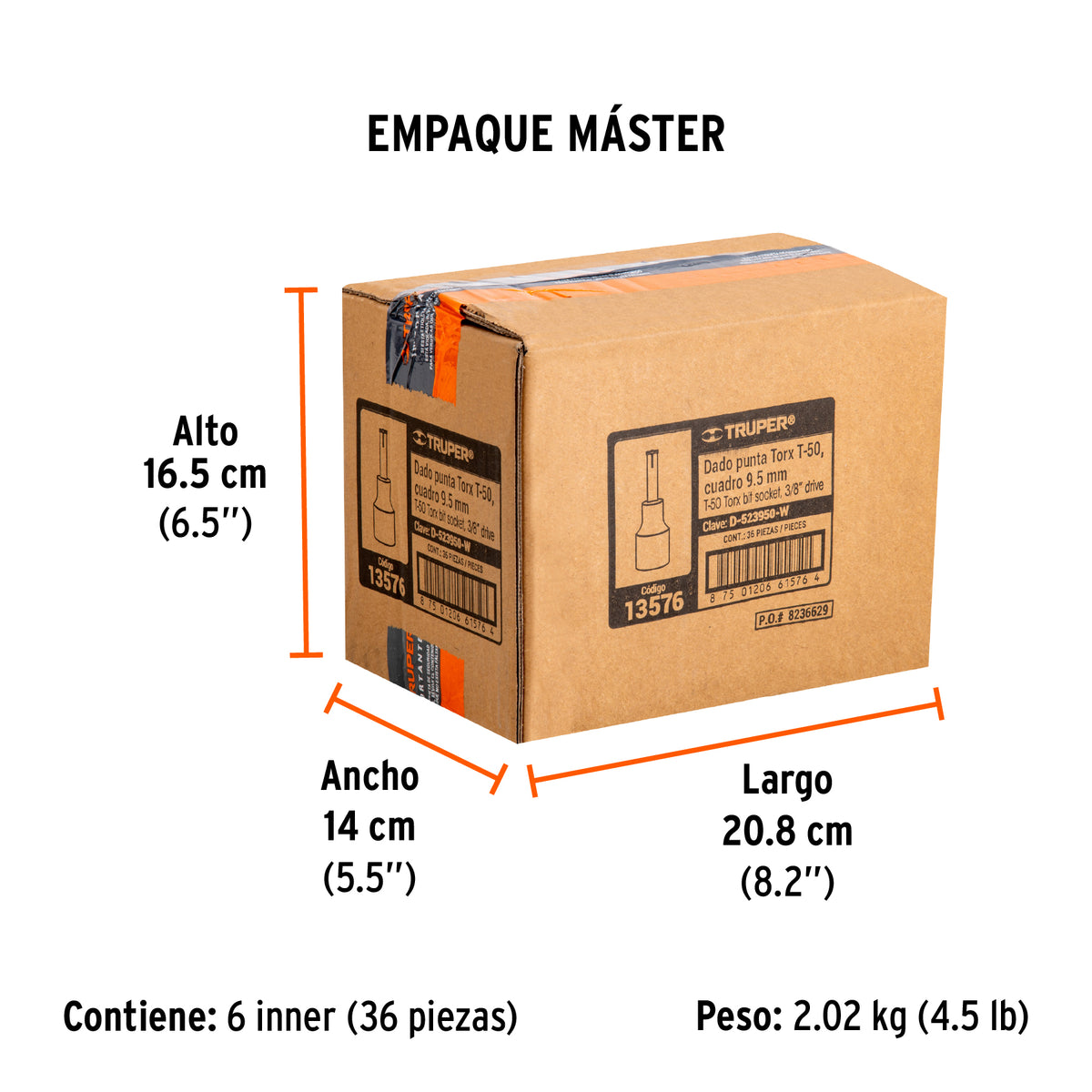 Dados punta torx, cuadro 3/8", t-50