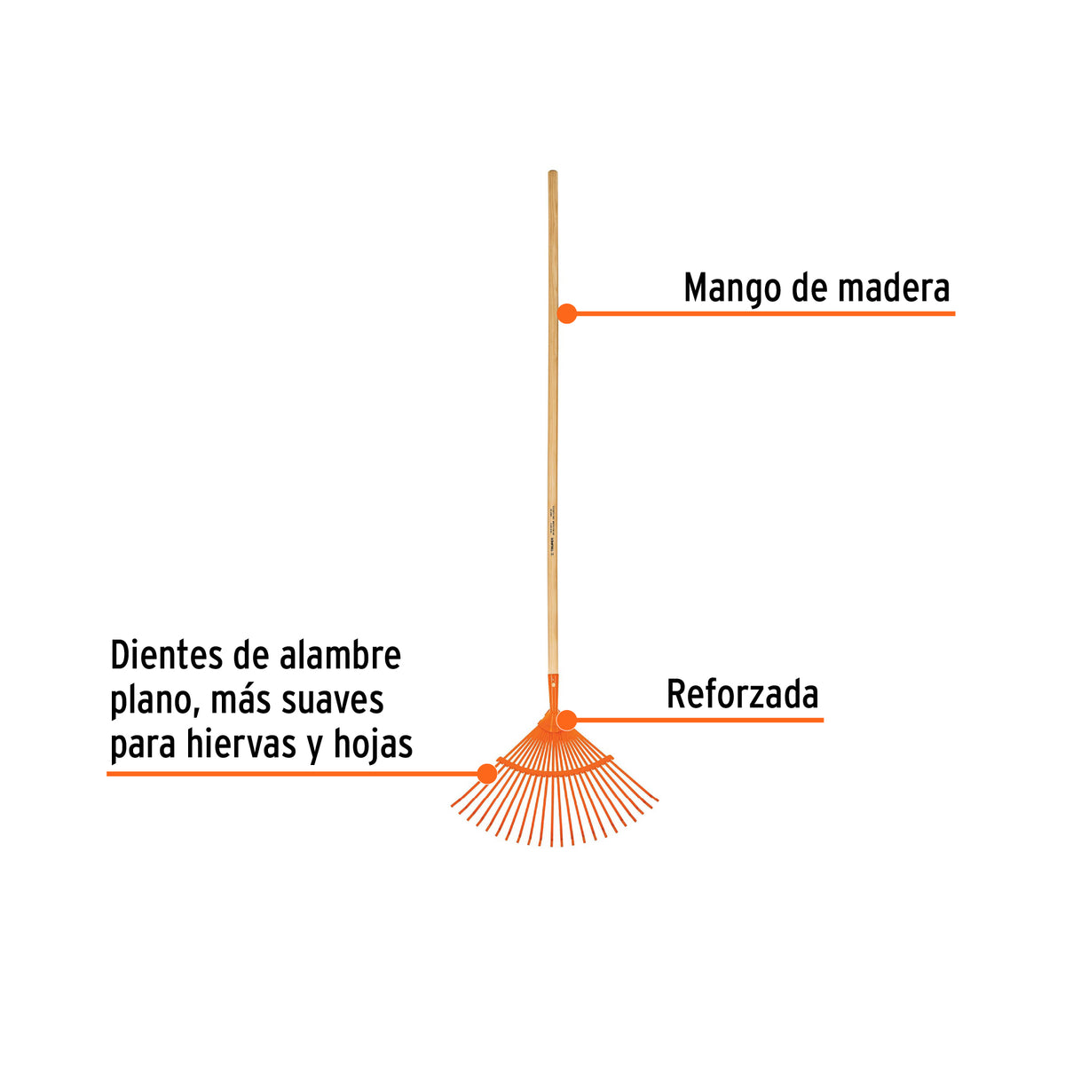 Escoba metálica con 22 dientes, cabeza curva, reforzada