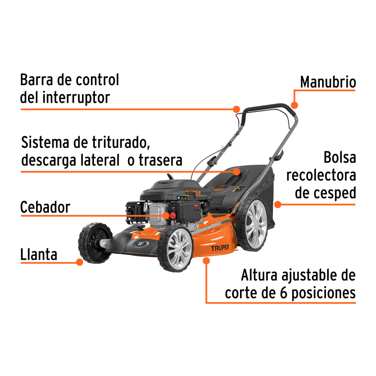Podadoras con motor a gasolina, 6HP, de 22"