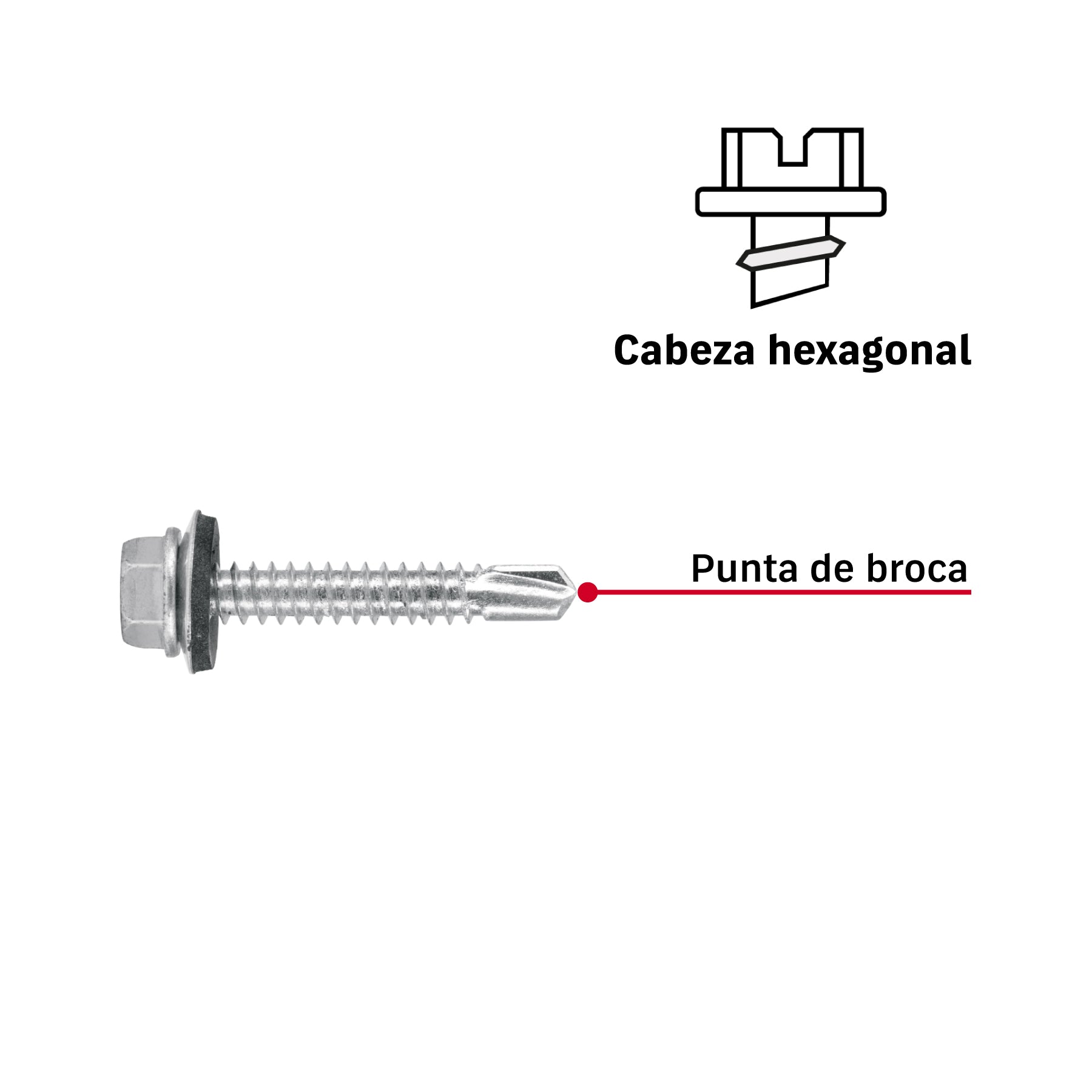 Pijas punta de broca, 1-1/2" con rondanas, caja con 50 pzas