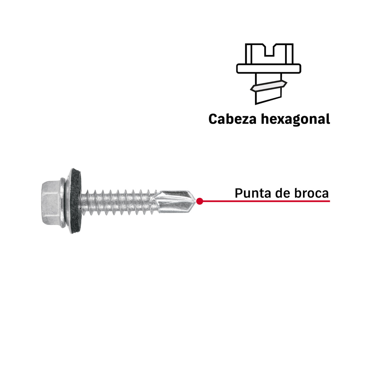 Pijas punta de broca, 1-1/4" con rondanas, caja con 50 pzas