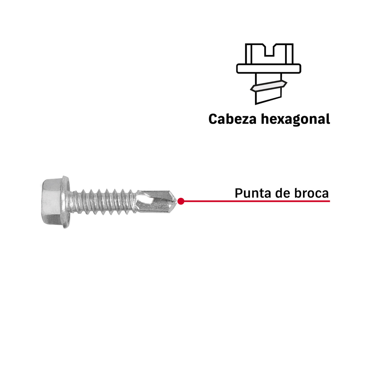 Pijas punta de broca, 1", caja con 100 pzas