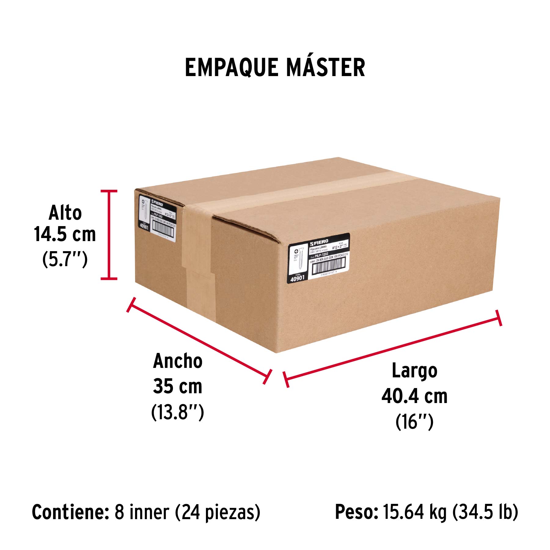 Bolsa 100 pijas para lámina cabeza plana #12 x 2', FIERO