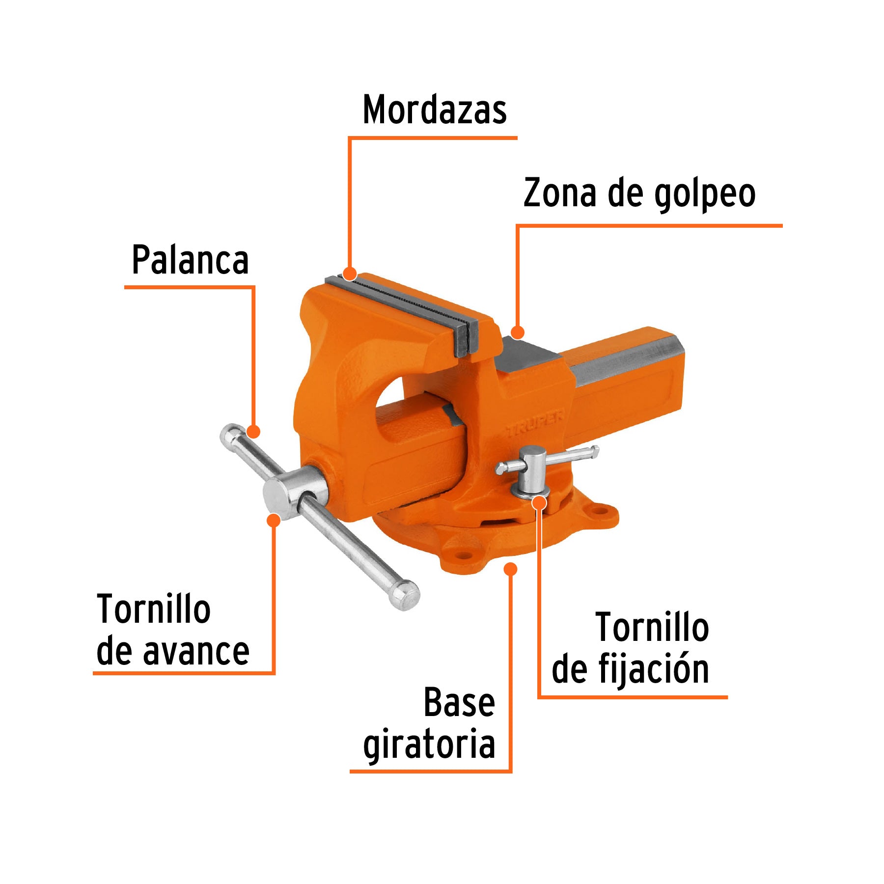 Tornillos de banco tipo Europeo, hierro nodular, 4"