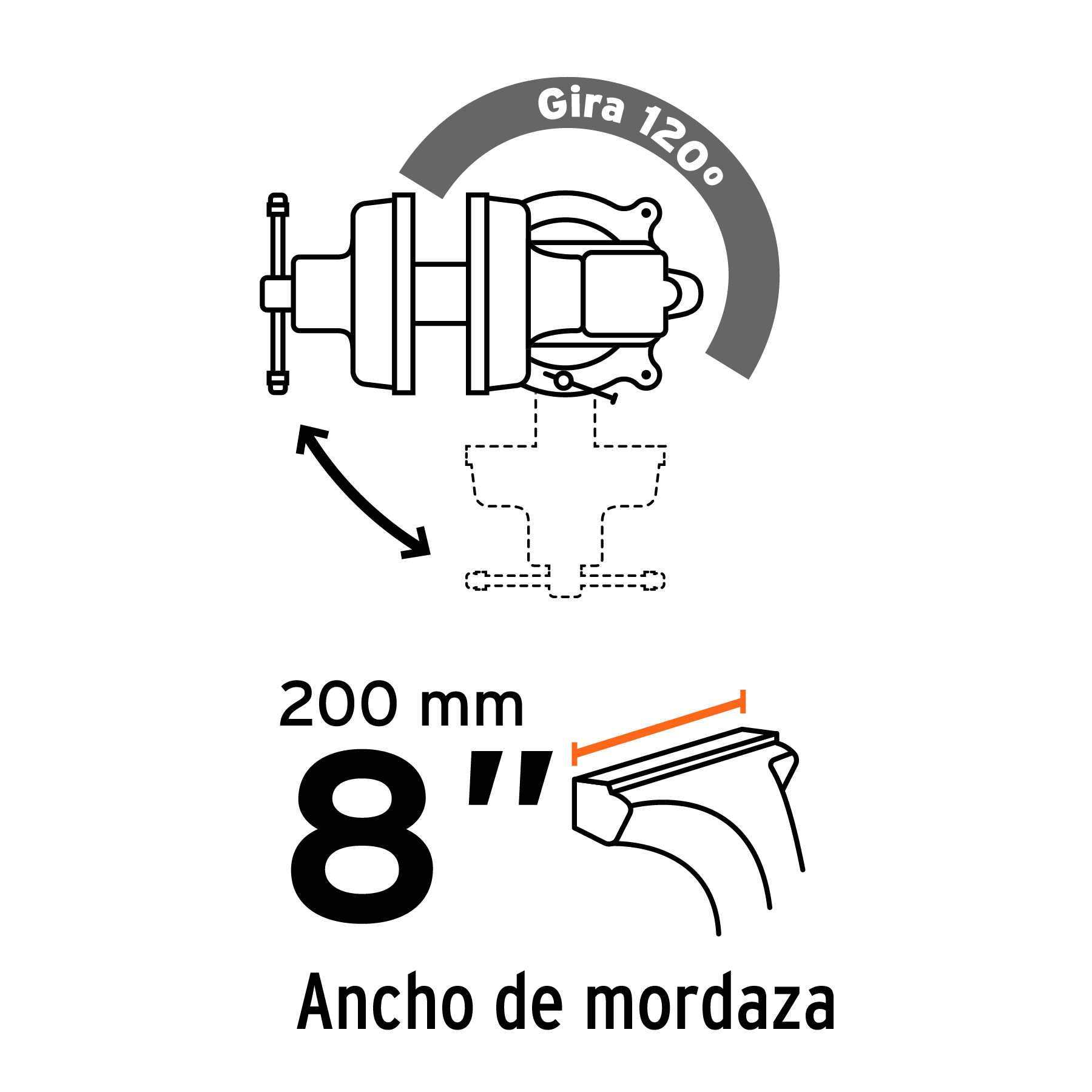 Tornillos de banco tipo Europeo, hierro nodular, 8"