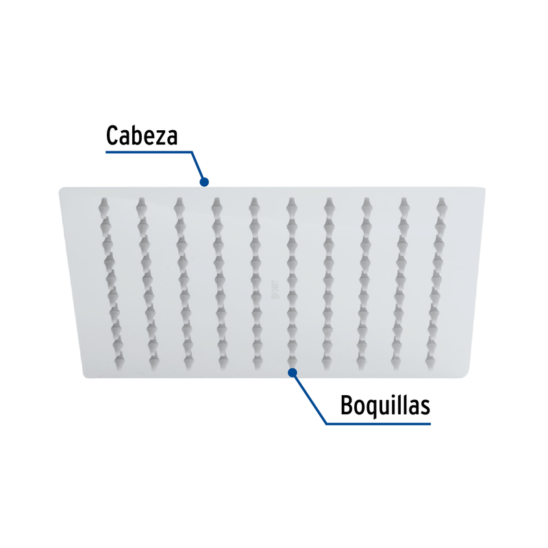 Regadera acero inoxidable, 8", sin brazo, cromado, Riviera