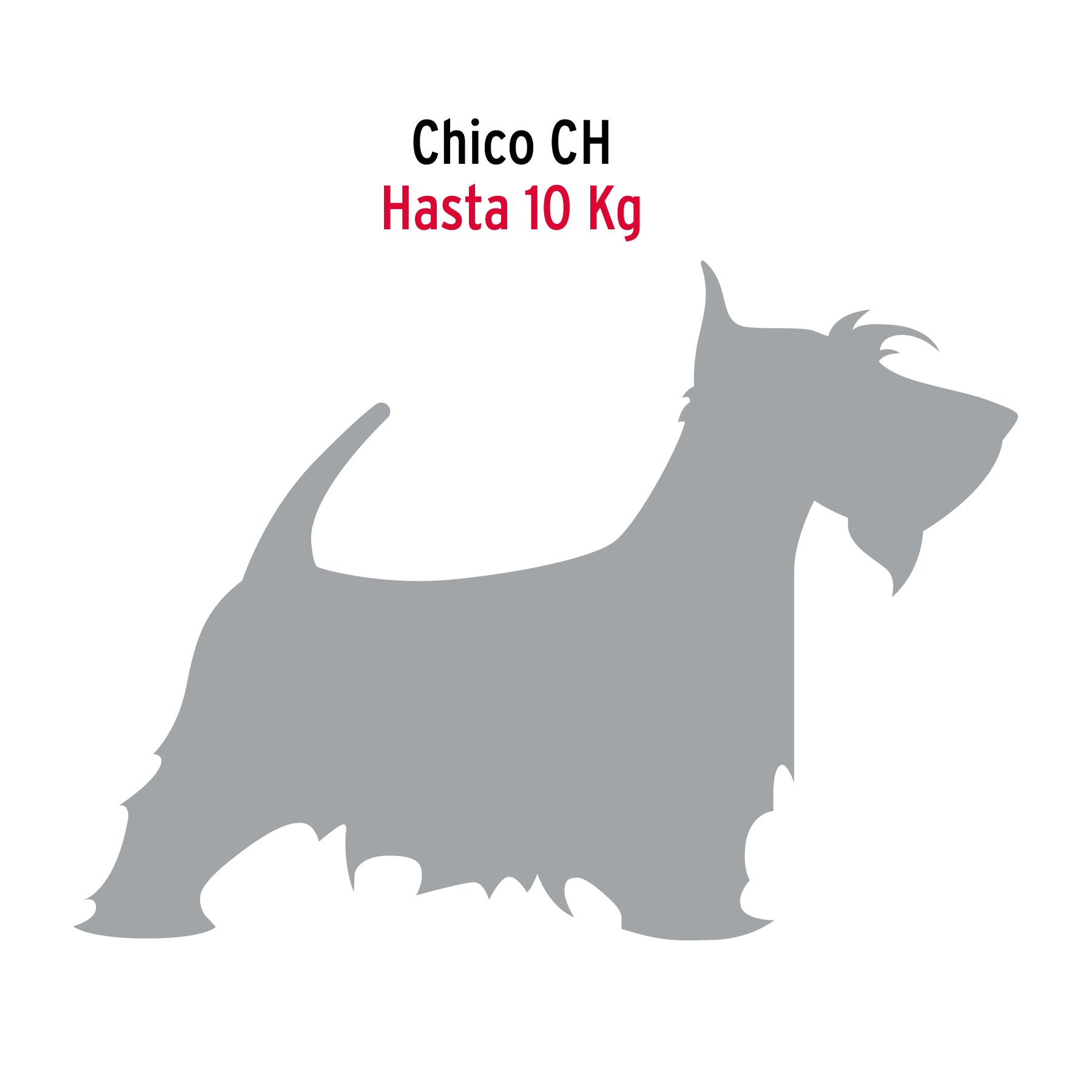 Cadena de paseo para perro # 2.5, tipo Victor
