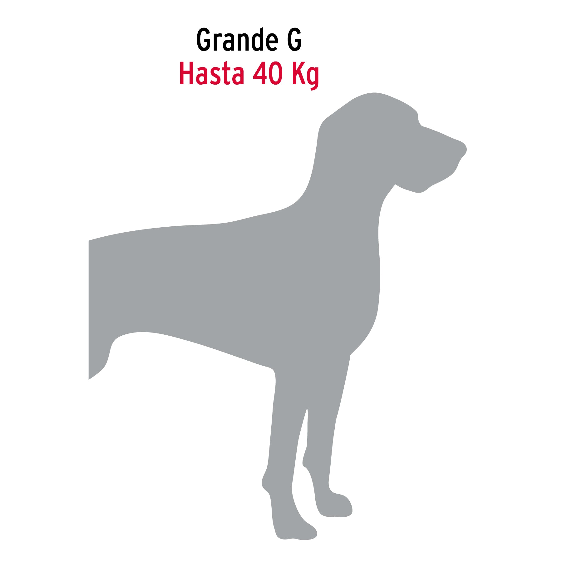 Cadena de paseo para perro # 4.5