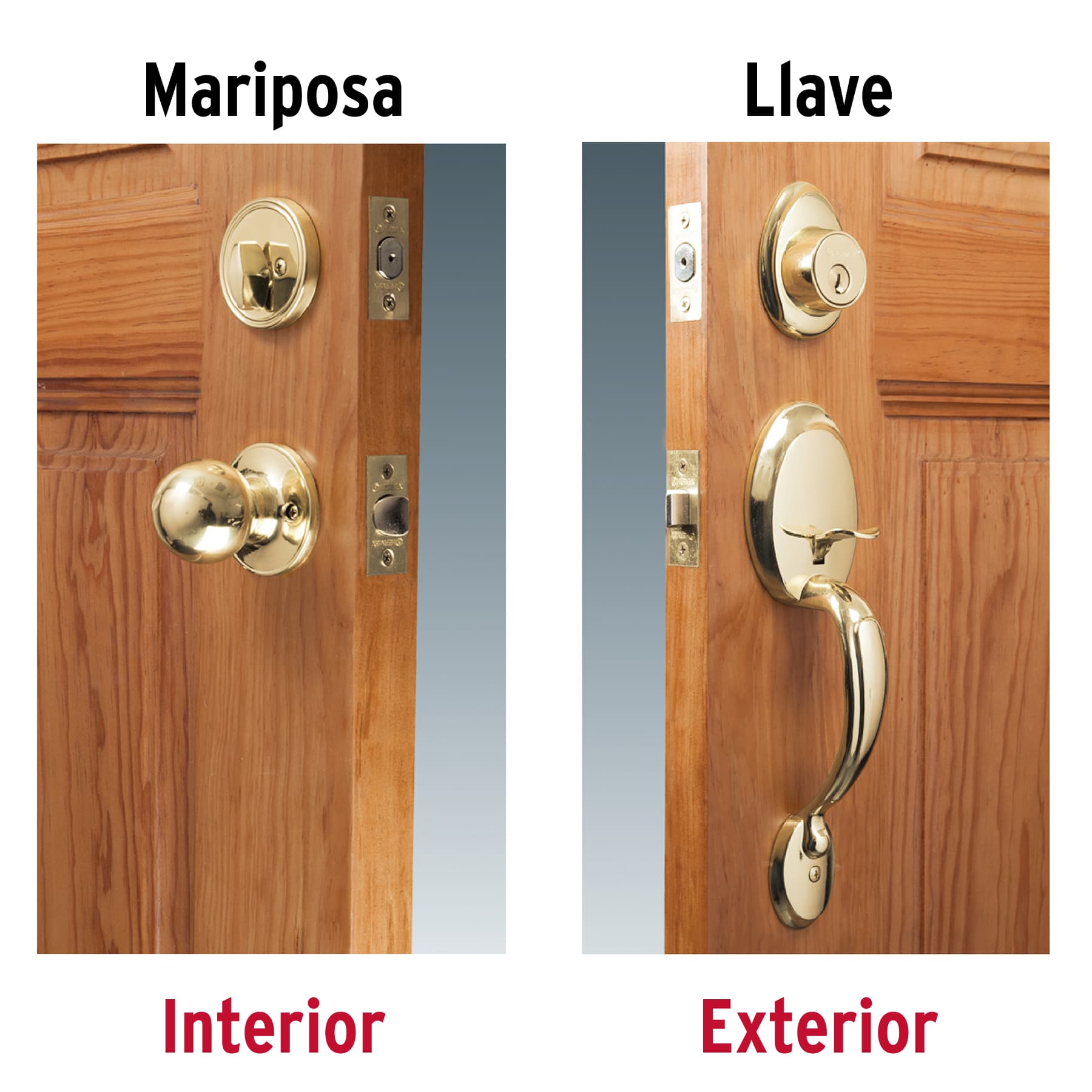 Cerradura, latón brillante, mariposa, pomo, Hermex Basic