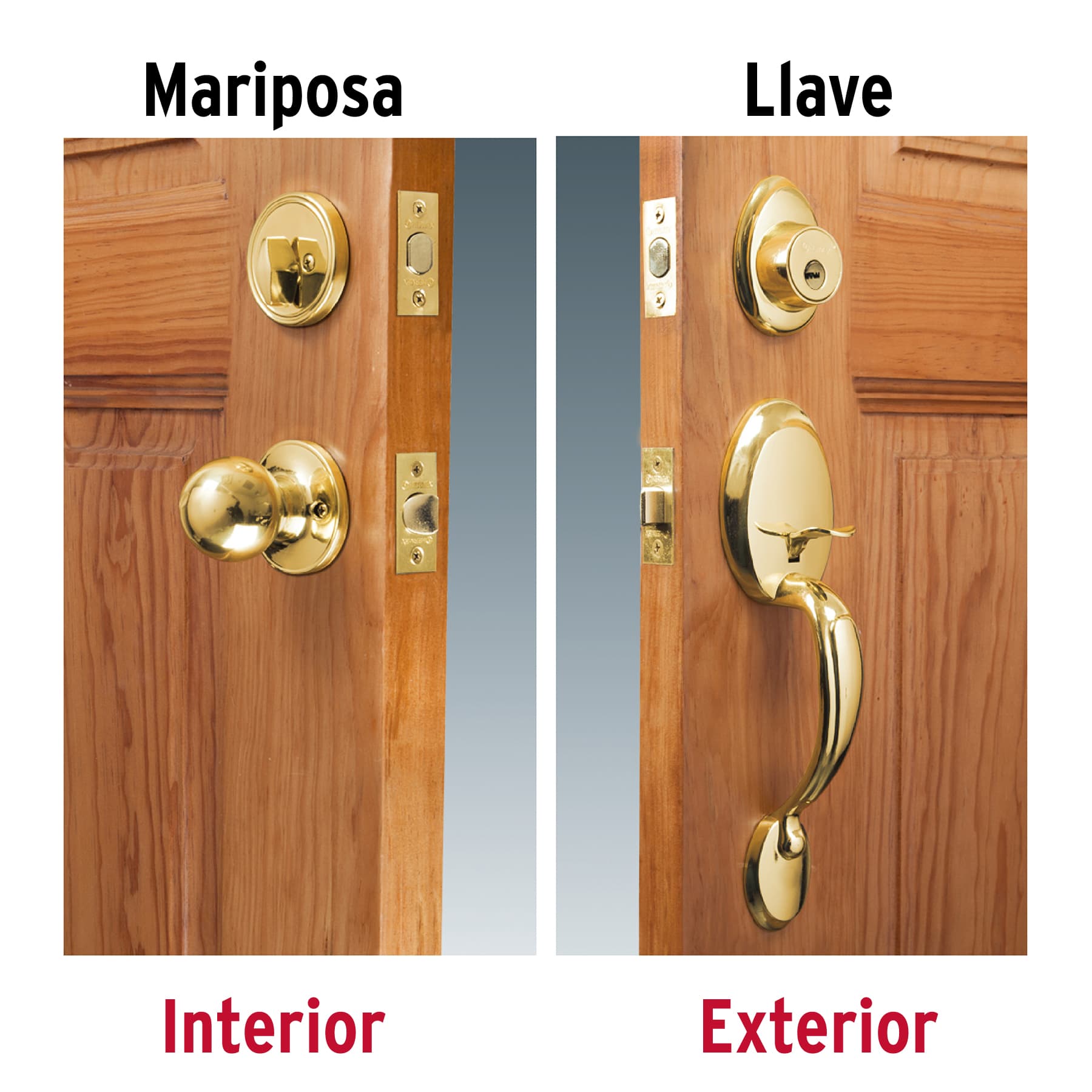 Cerradura, latón brillante, mariposa, pomo-jaladera