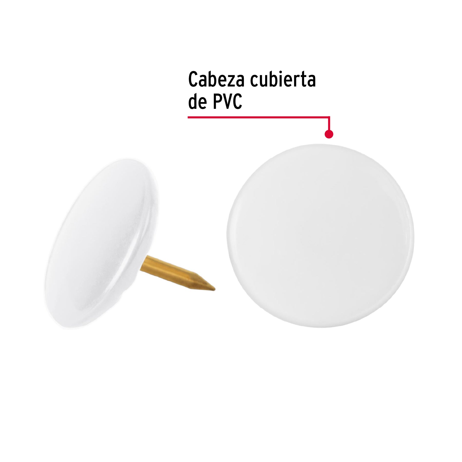 Chinches, 100 piezas, blancas