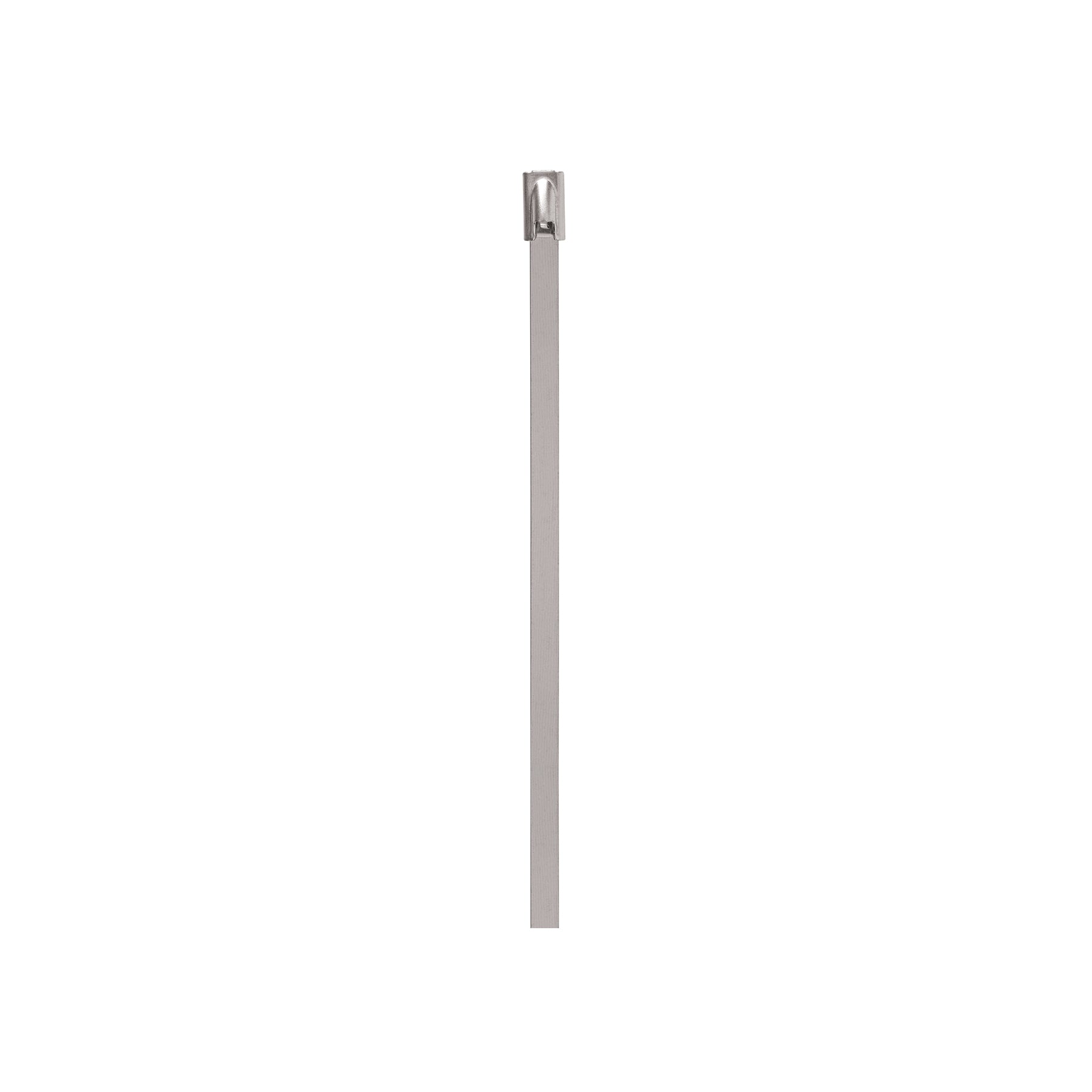 Cincho de acero inoxidable 29 cm, 200 lb, 10 pzas