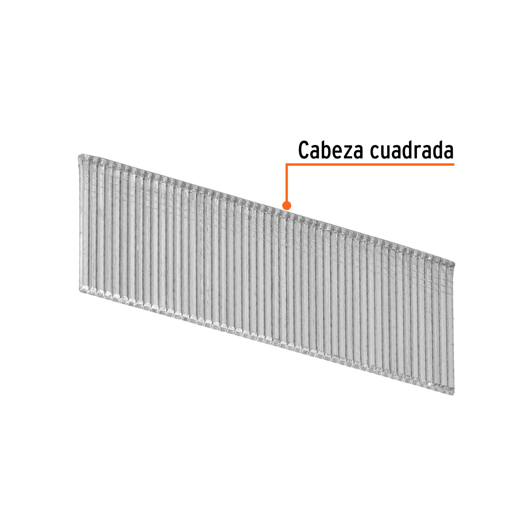 Clavos p/clavadora neumática CLNEU-2-1/2x, 25mm, 2500 pzas