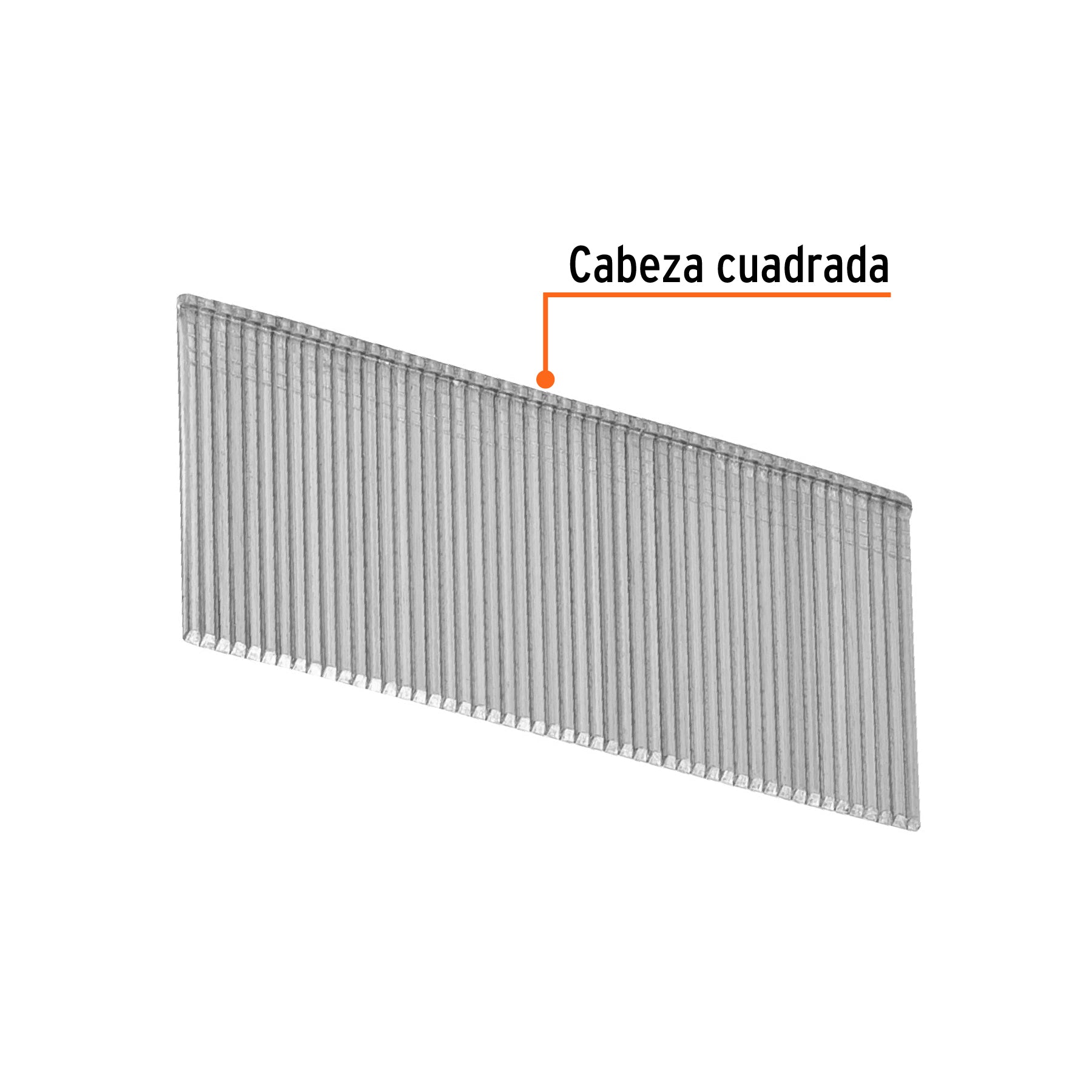 Clavos p/clavadora neumática CLNEU-2-1/2x, 32mm, 2500 pzas