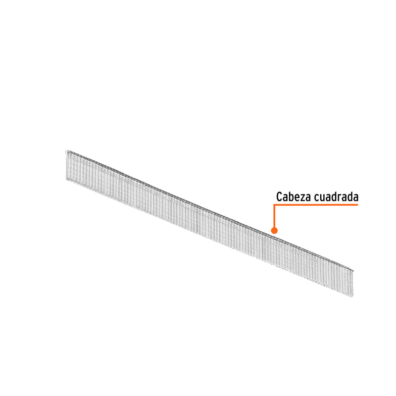 Clavos para clavadora neumática CLNEU-2, 10mm, 5000 pzas