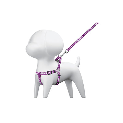 Correa para perro con pechera, 1 cm ancho