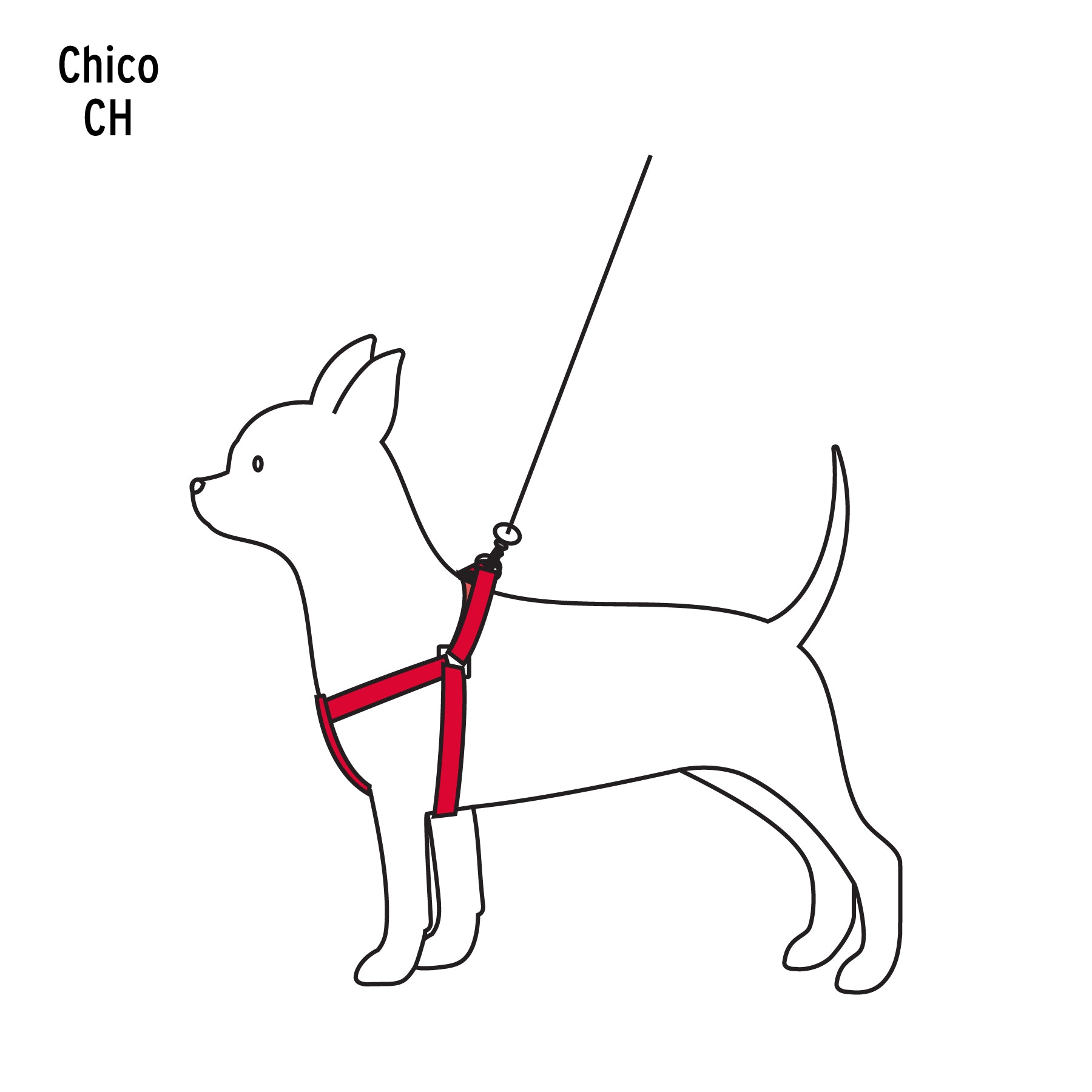 Correa para perro con pechera, 1 cm ancho