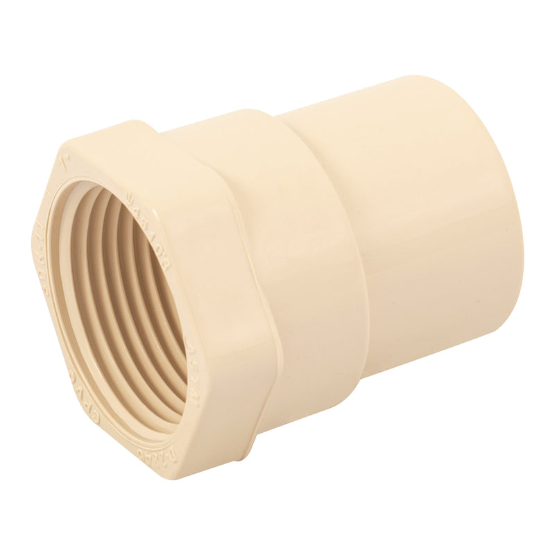 Conector hembra de CPVC 1"
