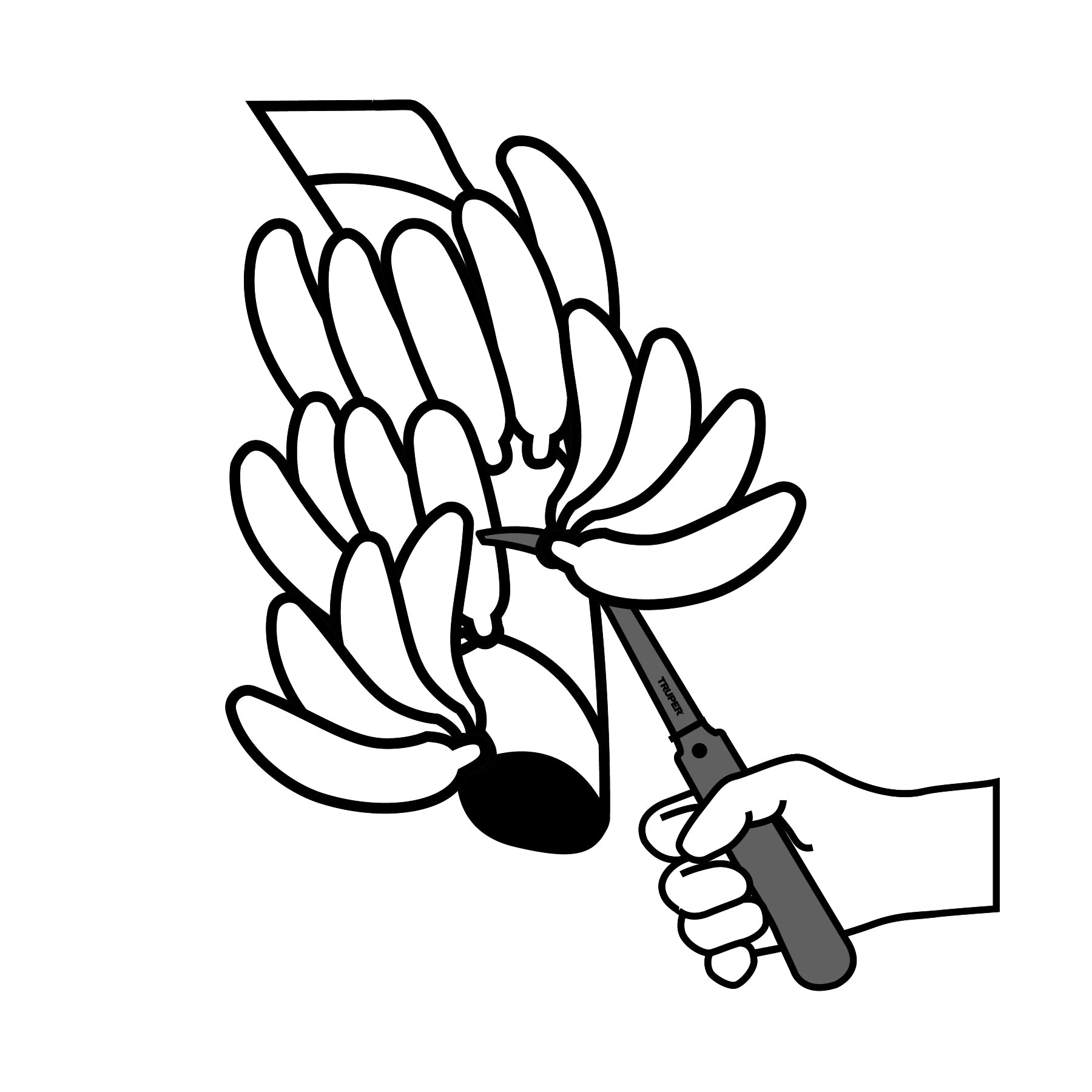 Cuchillo bananero 5', Truper