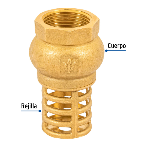 Pichancha con rejilla de latón 3/4"