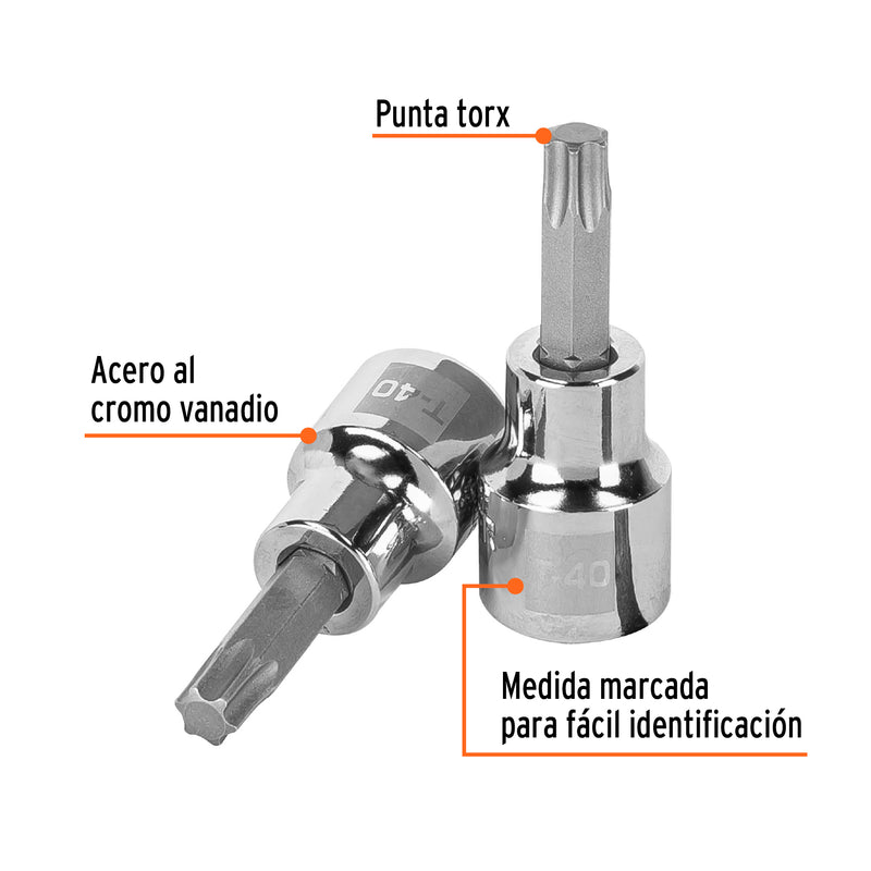 Dados punta torx, cuadro 3/8", t-40
