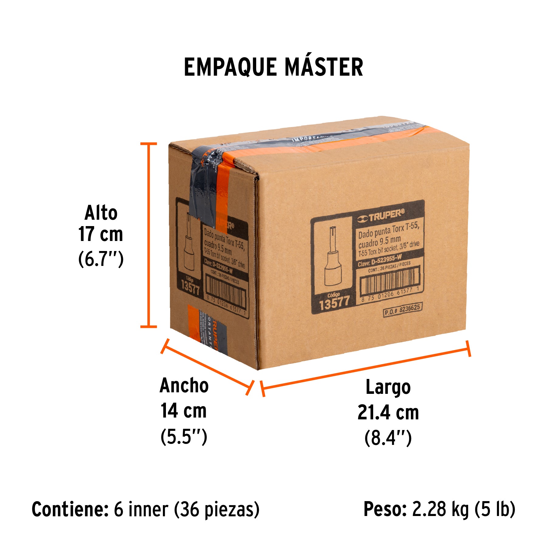 Dados punta torx, cuadro 3/8", t-55