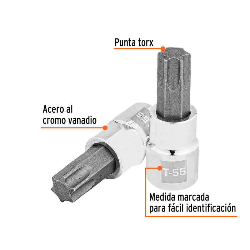 Dados punta torx, cuadro 3/8", t-55