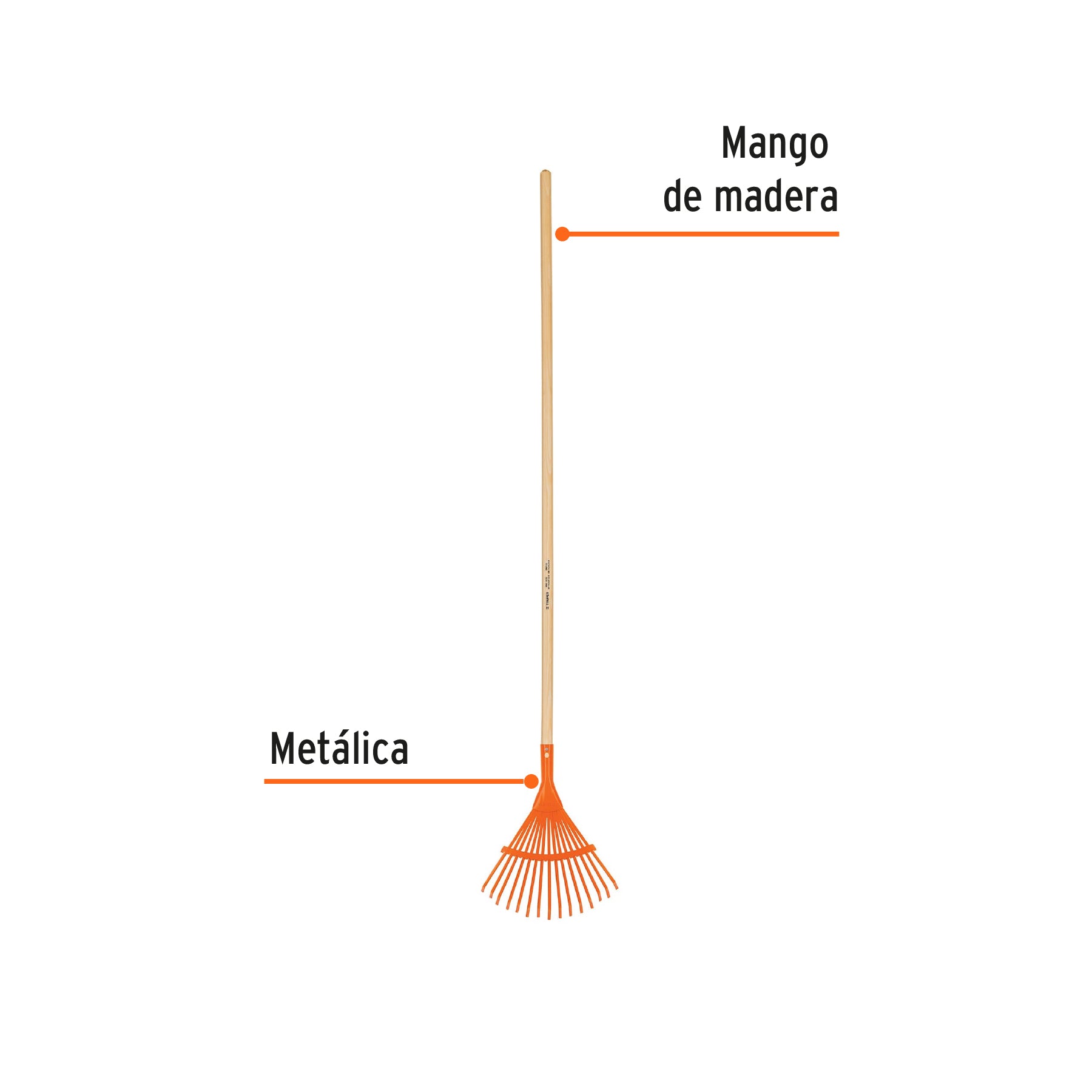 Escoba metálica con 15 dientes, cabeza curva