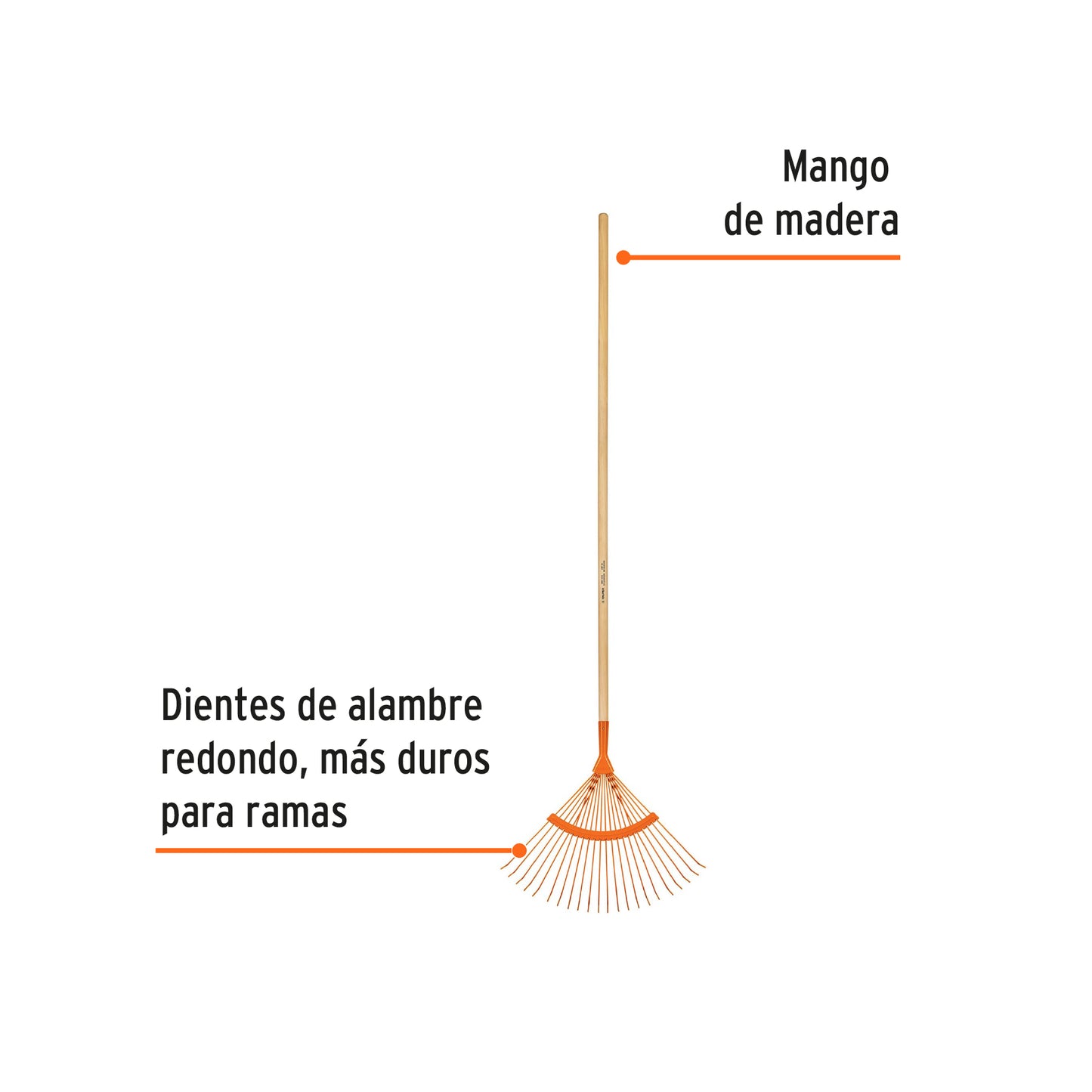 Escoba metálica con 22 dientes redondos, cabeza curva