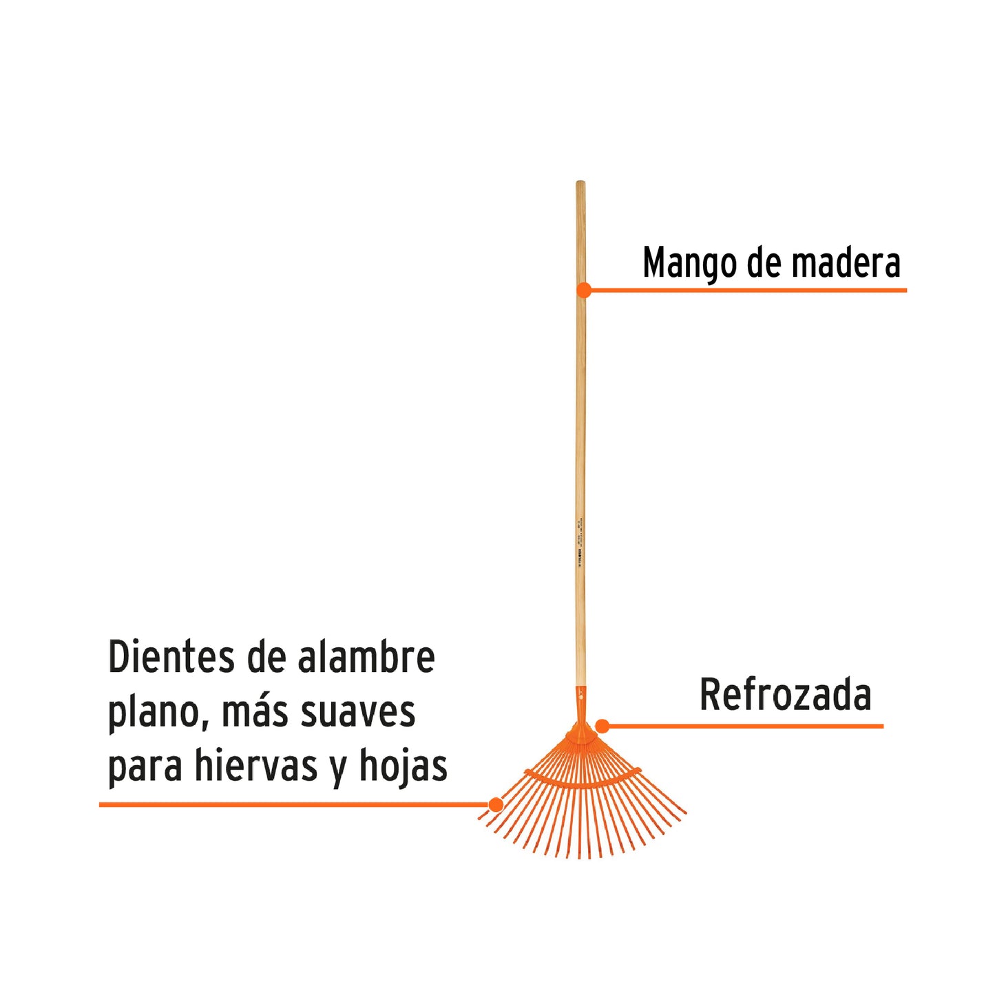 Escoba metálica con 22 dientes, cabeza curva, reforzada