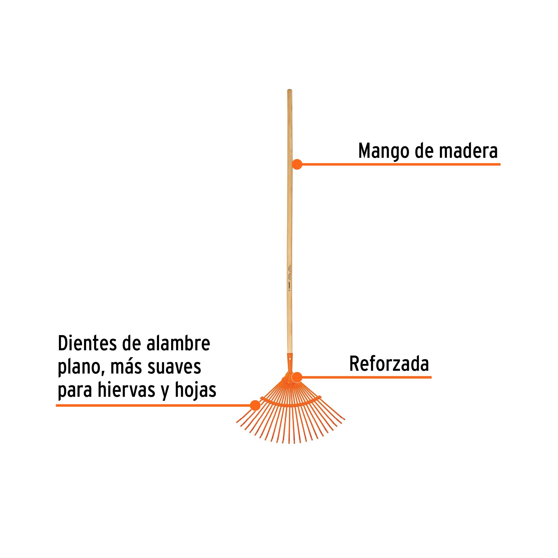 Escoba metálica con 22 dientes, cabeza curva, reforzada