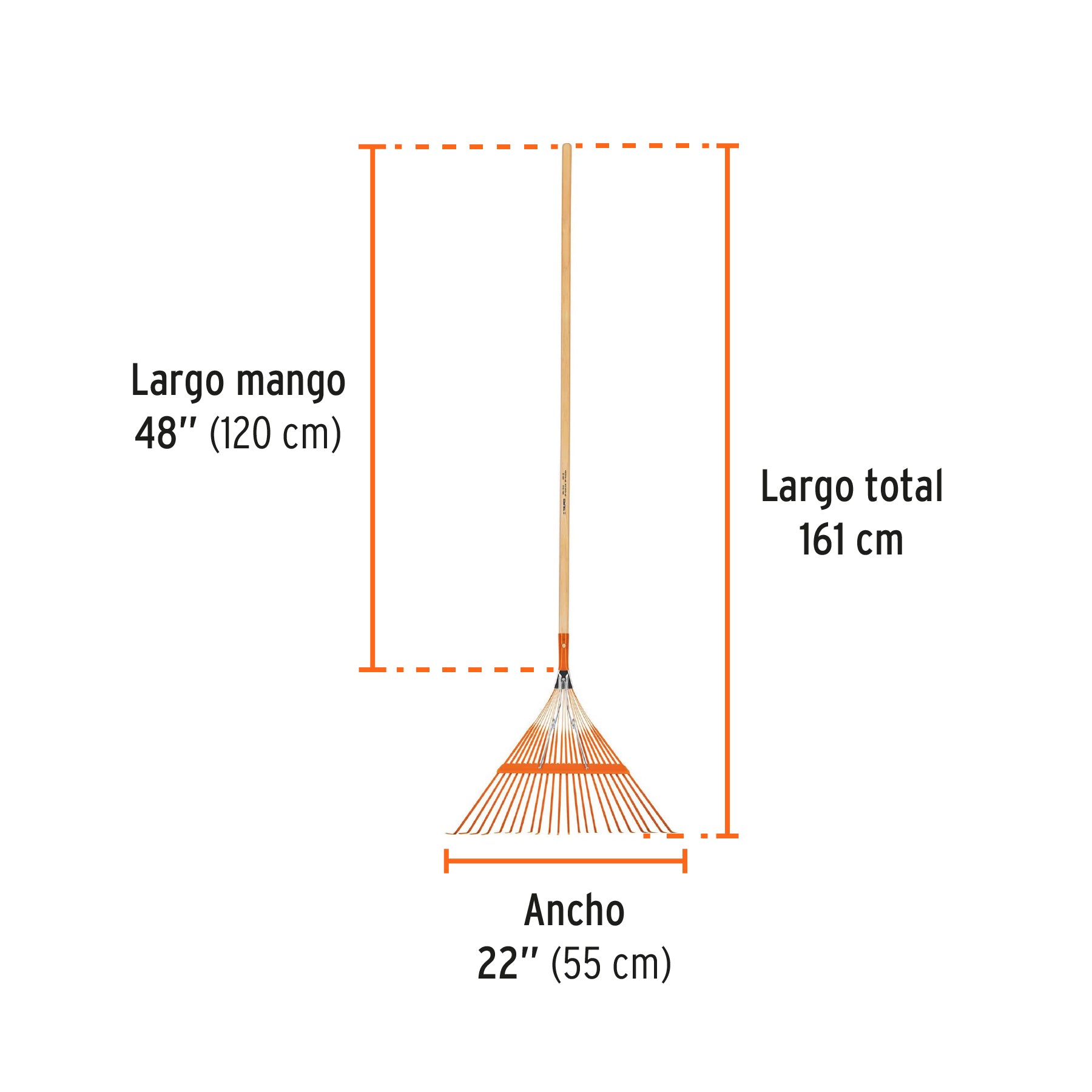 Escoba metálica con 22 dientes, cabeza recta