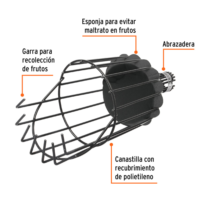 Recolector de fruta, sin mango
