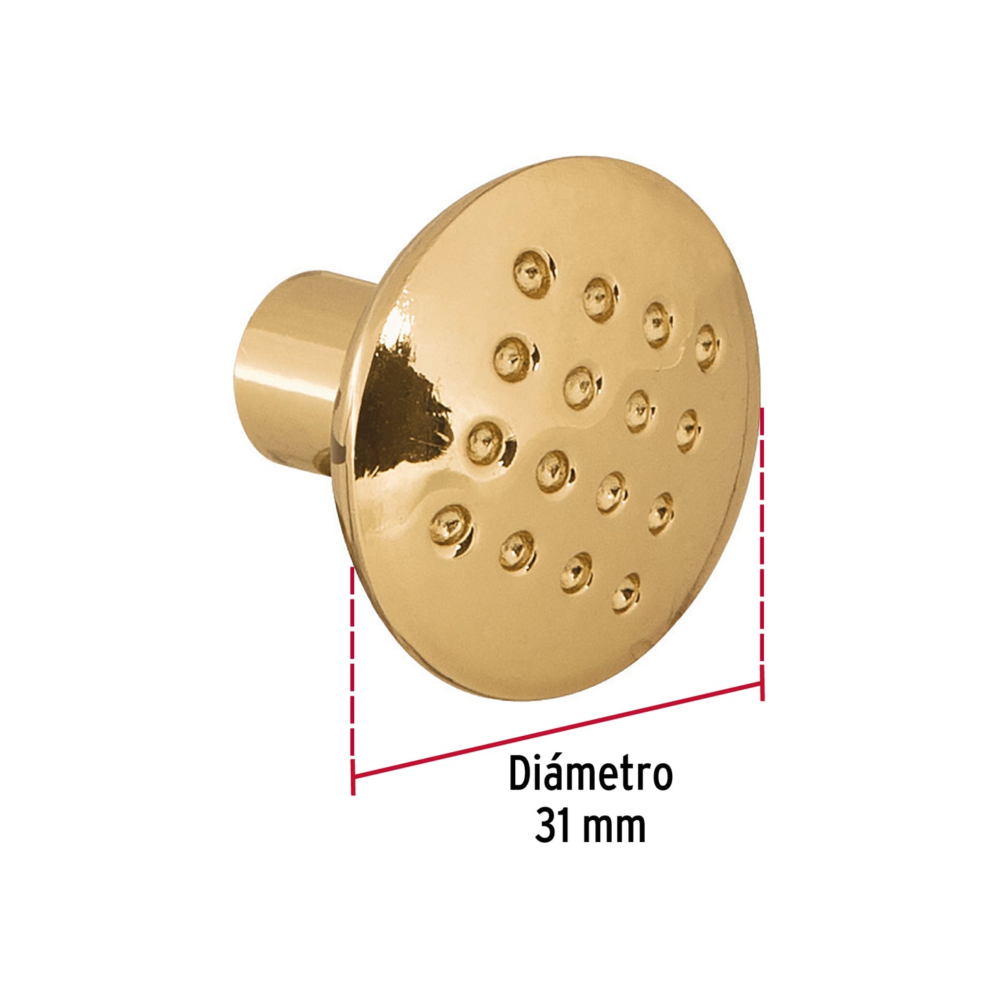 Perilla, latón brillante, estilo Contempo