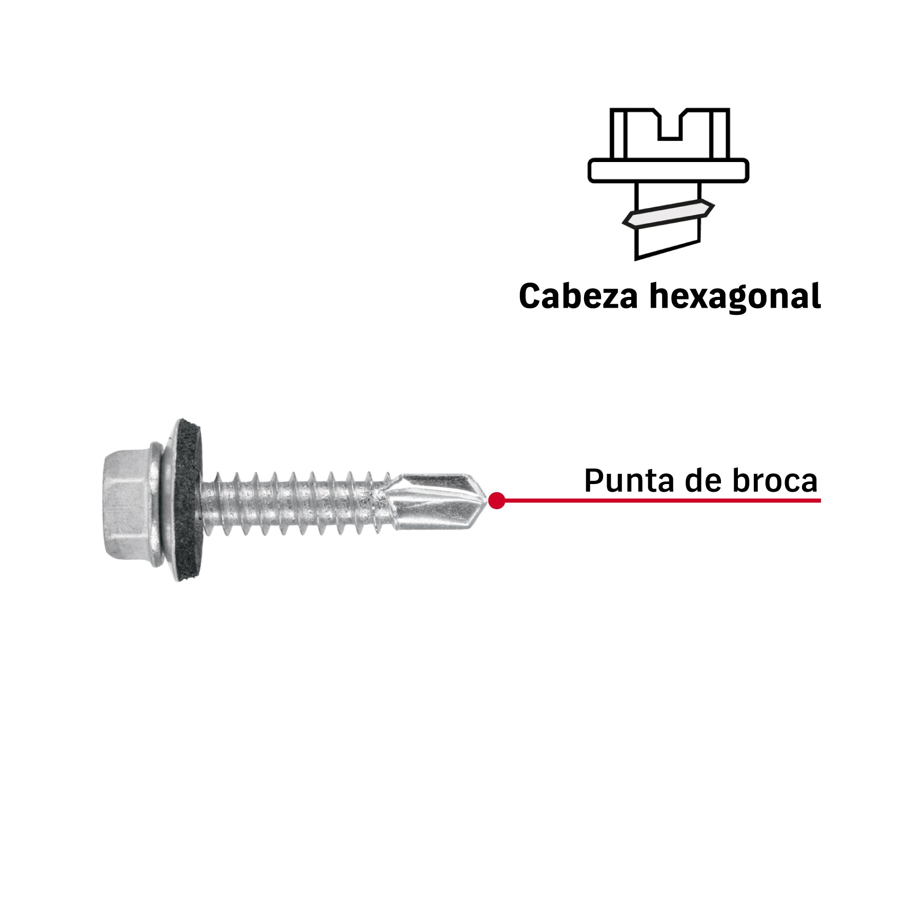 Pijas punta de broca, 1-1/4" con rondanas, caja con 50 pzas