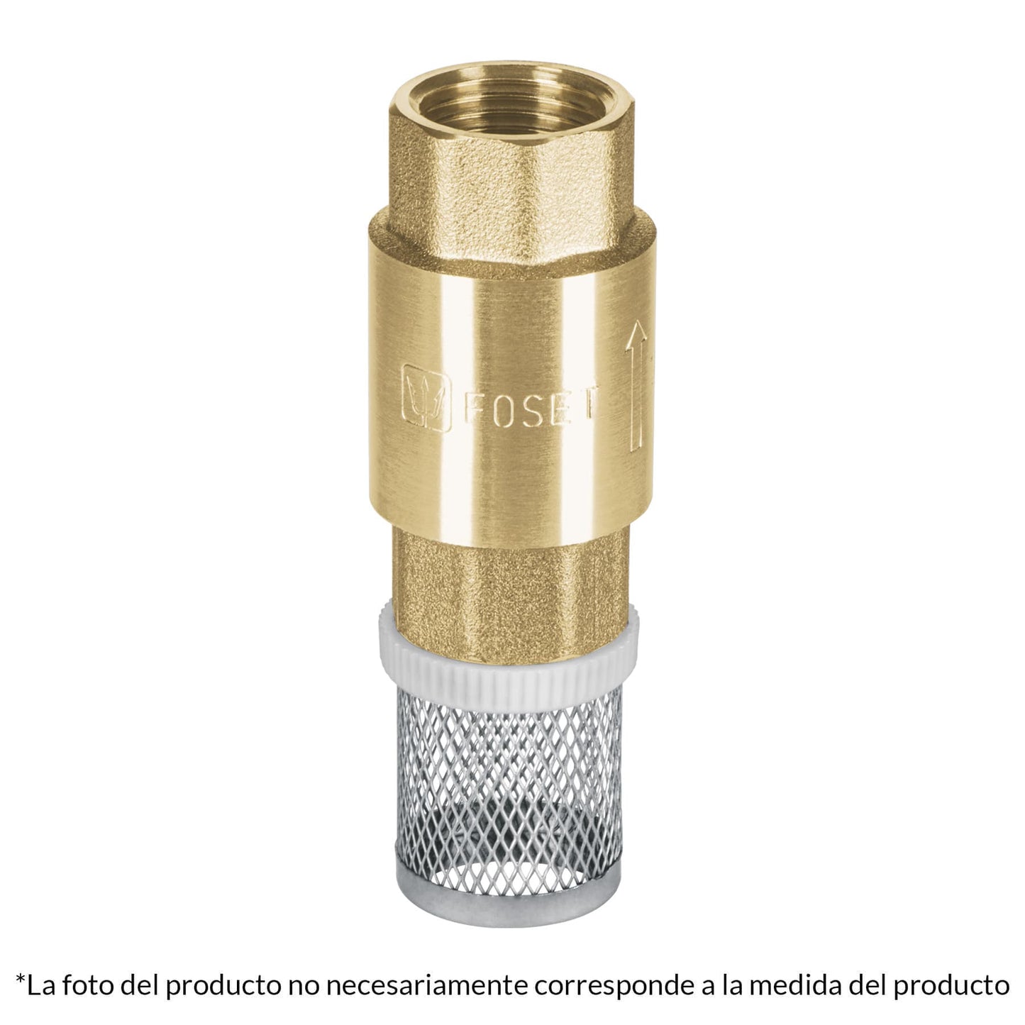 Pichancha con rejilla acero inoxidable 1"